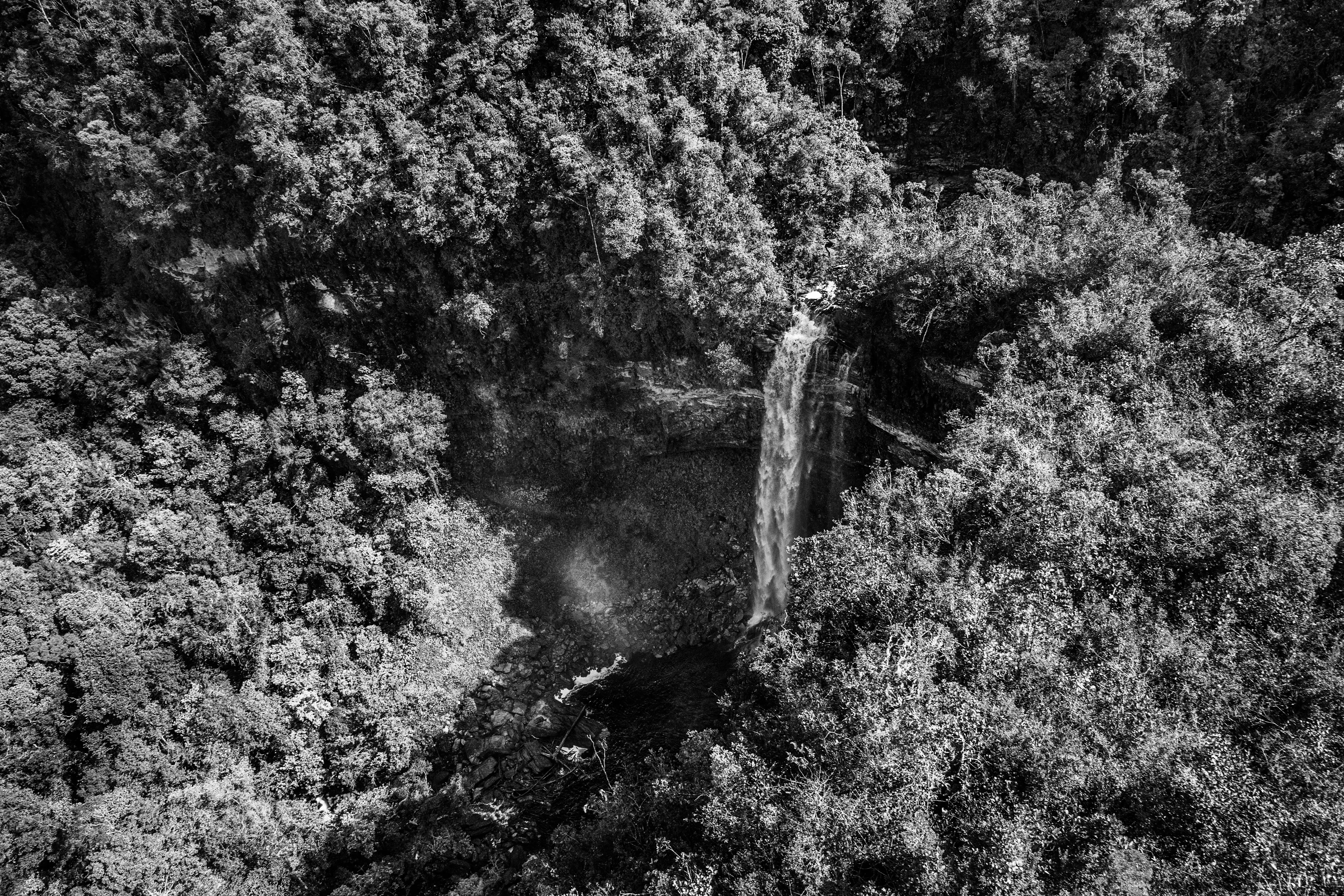 It is only possible to grasp the true dimension of the Amazon forest from space, occupying as it does one-third of the South American continent, an area larger than the entire European Union. Not marked are the land borders of the nine countries that share this ecosystem, although by far the largest part of the territory—over 60 percent—lies inside Brazil. At the heart of this extravaganza of nature is the Amazon River which, fed by some 1,100 tributaries, including 17 over 1,500 kilometers (930 miles) long, disgorges 20 percent of the world's freshwater when it finally enters the Atlantic Ocean. The rainforest also plays a crucial role in slowing climate change, notably as what is known as a "carbon sink." Put simply, every year its trees absorb around two billion tons of carbon dioxide, equivalent to five percent of total emission of greenhouse gases driving global warming. At the same time, the forest not only produces an important portion of the oxygen we breathe, but it also determines how much rain is delivered to other regions of South America and beyond. Nonetheless, with at least 17.25% of the biomass already cut down, the fear is that deforestation may soon reach "a point of no return" where the biome cannot recover, turning large areas of forest into tropical savannas.