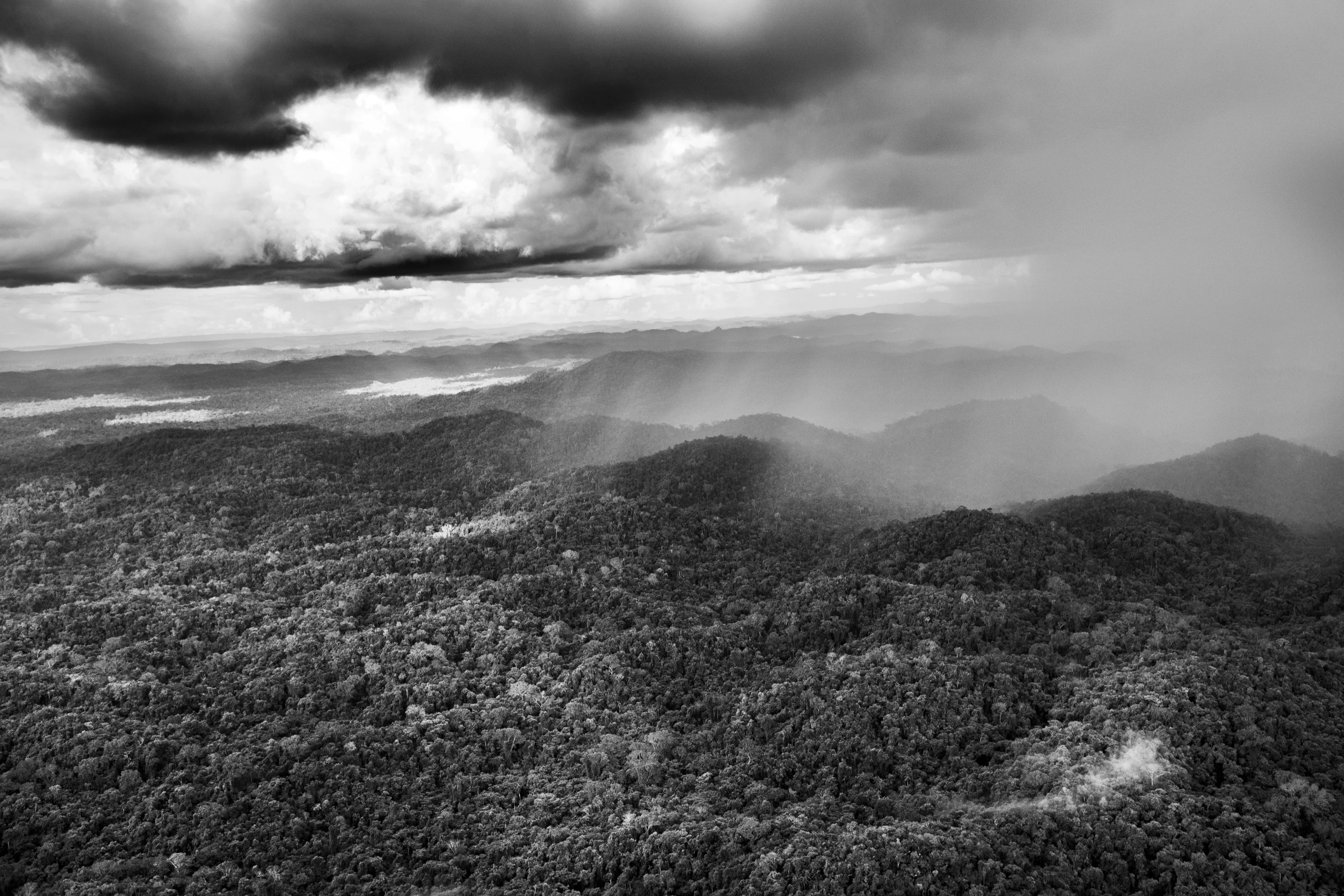 Parima Forest Reserve, State of Roraima, Brazil, 2018

Over the Amazon rainforest, rare is the day when you can see a clear sheet of blue sky or a solid blanket of gray cloud. Rather cloud formations offer an ever-changing spectacle. This begins in the morning when warm moist air rises from the jungle and makes contact with minuscule particles which permit the vapor to condense into water droplets and become little clouds resembling cotton balls known locally as aru. As the day advances, they rise and join forces and, temperature and wind speed permitting, gather strength to become a storm cloud known as a cumulonimbus. This is quite the most dangerous meteorological formation, reaching several thousand meters into the sky, spewing out pieces of ice and winds of up to 200 kilometers per hour (125 miles per hour) at the same time as sending lightning, strong winds, and fierce precipitation toward the jungle. Such is its force that even large aircraft will do everything to avoid it, helicopters immediately look for a jungle clearing in order to land and riverboats hurriedly take shelter from the blinding rain.