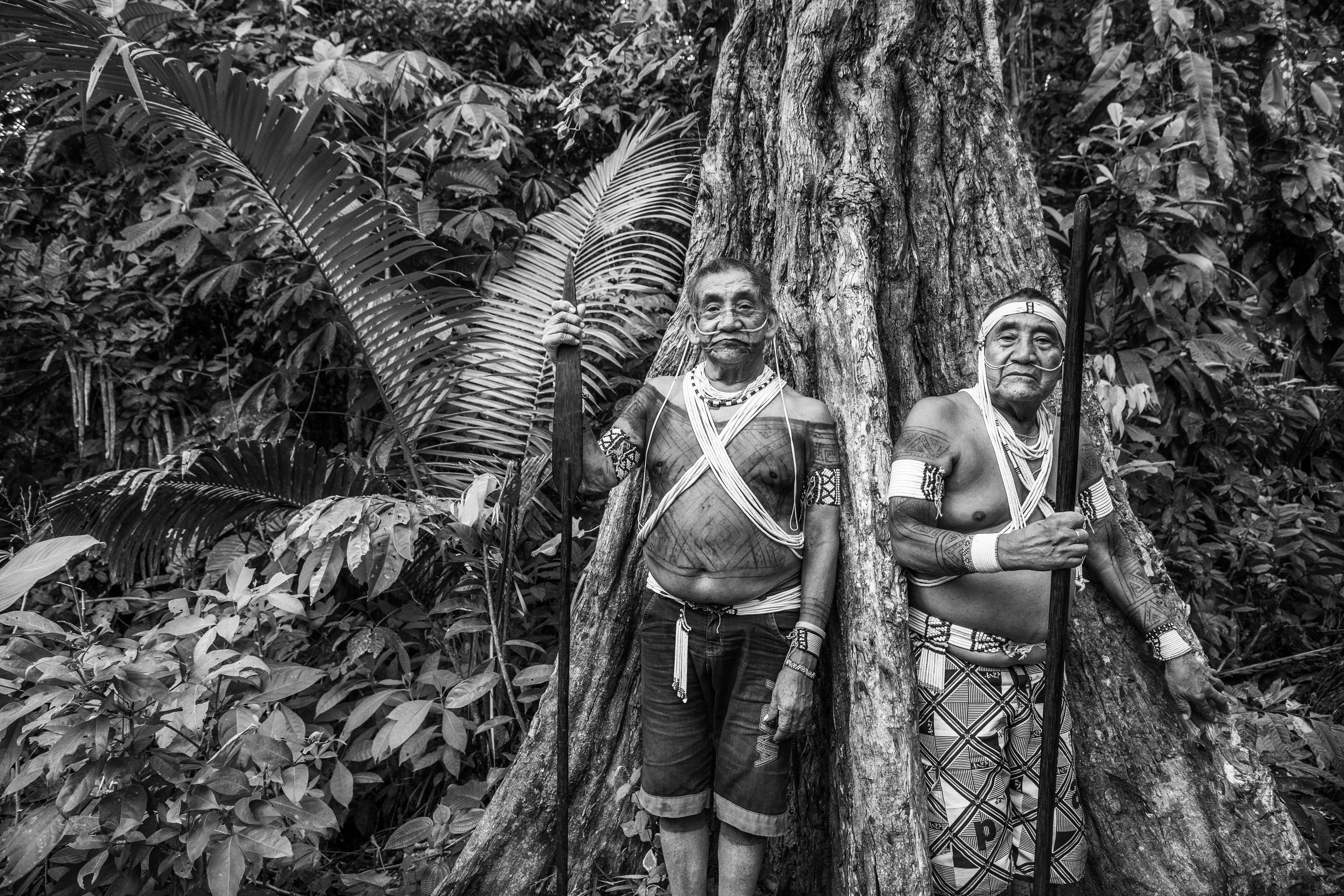 Village of Morada Nova, Valley of Javari Indigenous Territory, State of Amazonas, Brazil, 2018.

Javari Valley, Marubo Indigenous Territory, state of Amazonas, Brazil, 2018. The current Marubo population is just over 2,000 people. The Javari Valley Indigenous Territory that they inhabit is one of the largest in Brazil, measuring 8.5 million hectares (21 million acres) and is home to several other ethnic groups: Korubo, Matis, Matsés, Katukina, and a variety of isolated groups. More than a century of coexistence with nonindigenous people is reflected in Marubo children's education, and learning Portuguese well is an important part of growing up there. This is why many of them end up becoming translators and intermediaries in interactions with government employees (such as nurses at indigenous health posts) and to support indigenous organizations' activities, notably through ongoing participation in expeditions to contact other ethnic groups in the region. Since the 1990s, the region has recorded high rates of hepatitis infection. Documenting the fight against disease was the reason for my first visit to the region in 1998, followed by another visit in 2018.