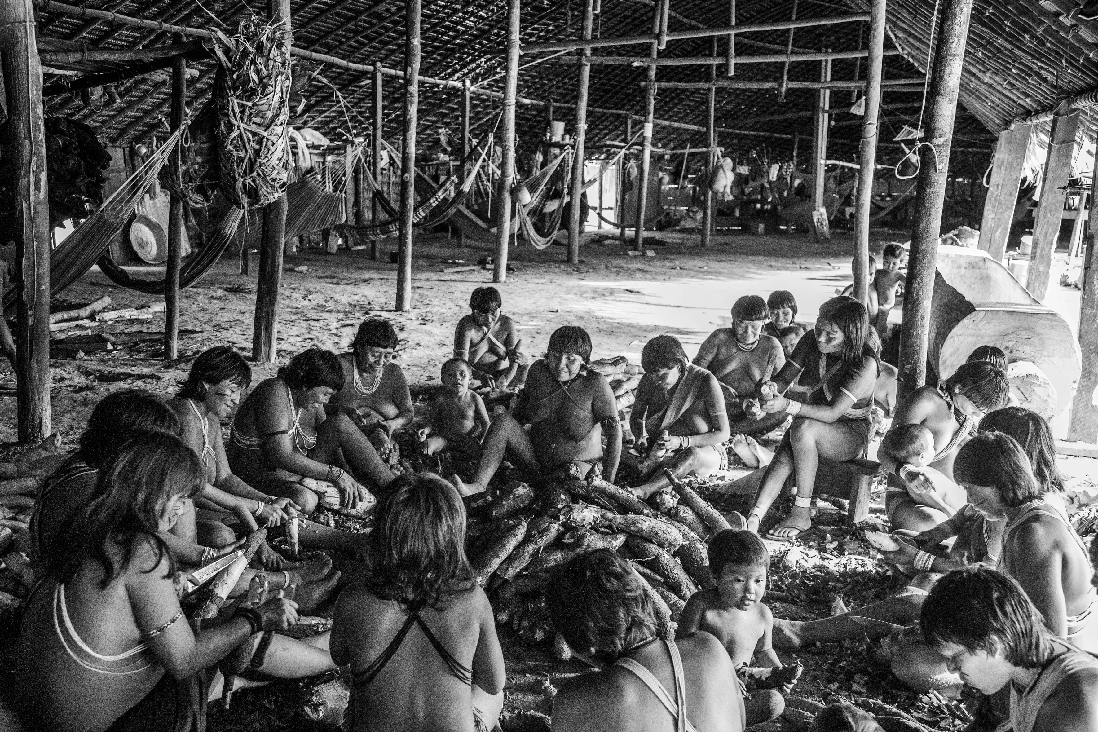 The communal maloca of Watoriki, Yanomami Indigenous Territory, State of Amazonas, Brazil, 2014.

The Yanomami are the largest low-contact indigenous ethnic group in the world. They have a population of around 40,000 people, with 28,000 in Brazil and the rest in Venezuela. They live in mountains ranges and valleys in the far north of Brazil, in the country's largest indigenous territory. The land extends from the north of the state of Roraima to the Rio Negro in the state of Amazonas. Shamanism is central to Yanomami culture. Their main leader is the shaman Davi Kopenawa, a pioneer in the campaign to establish the Yanomami Indigenous Territory, starting in the late 1970s. In 1993, Haximu, a Yanomami community, suffered a massacre by illegal miners. This led to the only conviction for the crime of genocide in the entire history of Brazilian justice. The Yanomami include at least one isolated group.