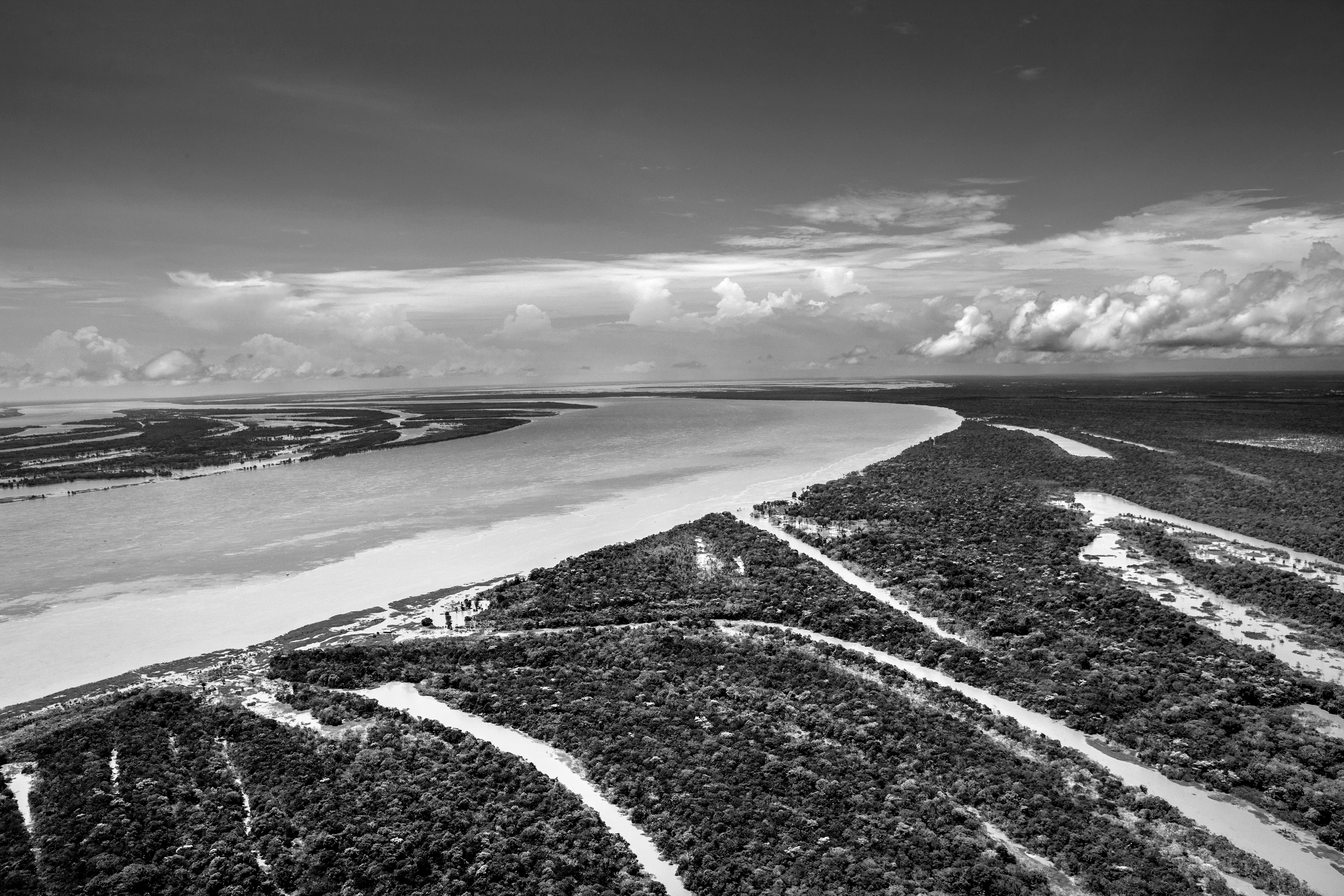 It is only possible to grasp the true dimension of the Amazon forest from space, occupying as it does one-third of the South American continent, an area larger than the entire European Union. Not marked are the land borders of the nine countries that share this ecosystem, although by far the largest part of the territory—over 60 percent—lies inside Brazil. At the heart of this extravaganza of nature is the Amazon River which, fed by some 1,100 tributaries, including 17 over 1,500 kilometers (930 miles) long, disgorges 20 percent of the world's freshwater when it finally enters the Atlantic Ocean. The rainforest also plays a crucial role in slowing climate change, notably as what is known as a "carbon sink." Put simply, every year its trees absorb around two billion tons of carbon dioxide, equivalent to five percent of total emission of greenhouse gases driving global warming. At the same time, the forest not only produces an important portion of the oxygen we breathe, but it also determines how much rain is delivered to other regions of South America and beyond. Nonetheless, with at least 17.25% of the biomass already cut down, the fear is that deforestation may soon reach "a point of no return" where the biome cannot recover, turning large areas of forest into tropical savannas.