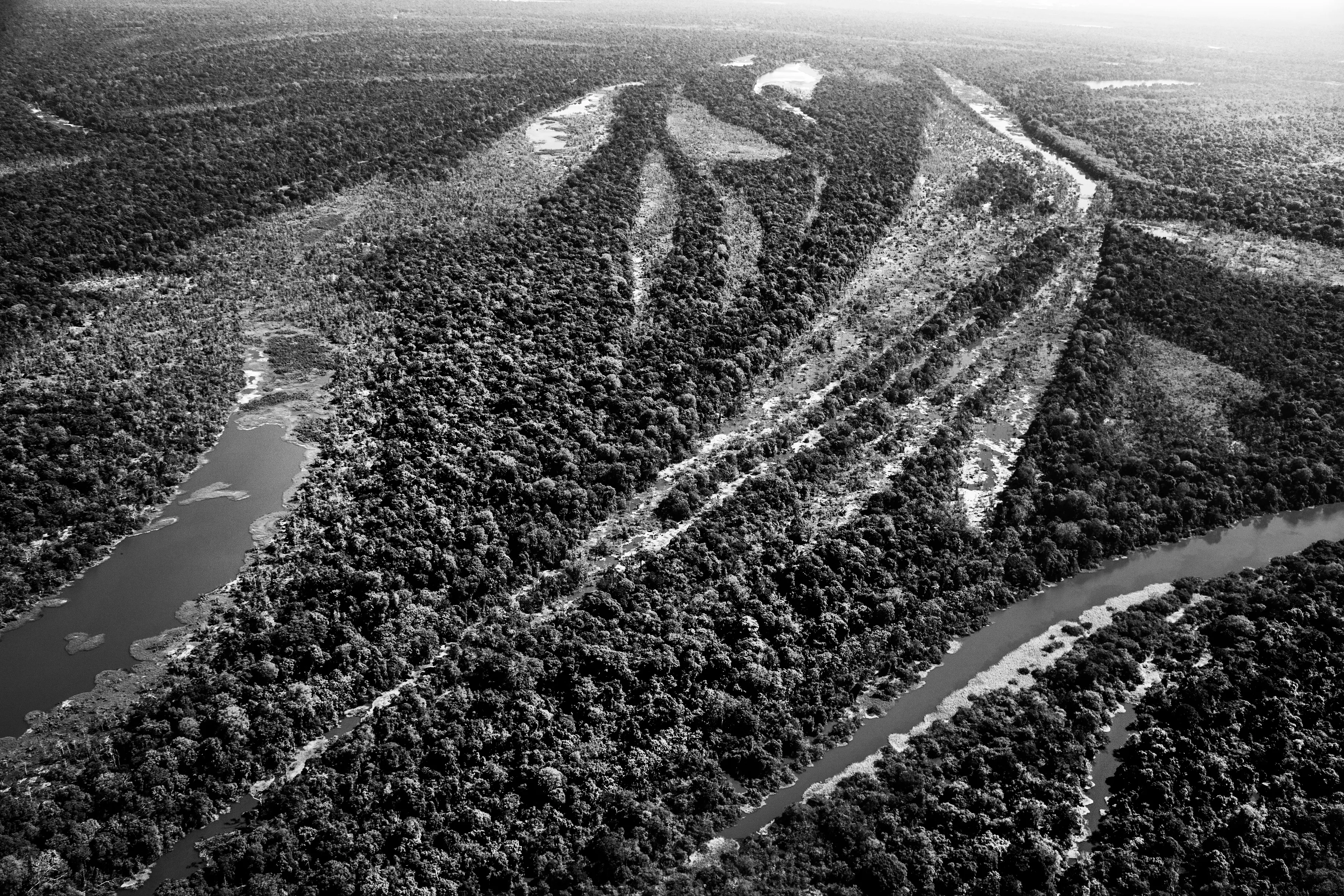 It is only possible to grasp the true dimension of the Amazon forest from space, occupying as it does one-third of the South American continent, an area larger than the entire European Union. Not marked are the land borders of the nine countries that share this ecosystem, although by far the largest part of the territory—over 60 percent—lies inside Brazil. At the heart of this extravaganza of nature is the Amazon River which, fed by some 1,100 tributaries, including 17 over 1,500 kilometers (930 miles) long, disgorges 20 percent of the world's freshwater when it finally enters the Atlantic Ocean. The rainforest also plays a crucial role in slowing climate change, notably as what is known as a "carbon sink." Put simply, every year its trees absorb around two billion tons of carbon dioxide, equivalent to five percent of total emission of greenhouse gases driving global warming. At the same time, the forest not only produces an important portion of the oxygen we breathe, but it also determines how much rain is delivered to other regions of South America and beyond. Nonetheless, with at least 17.25% of the biomass already cut down, the fear is that deforestation may soon reach "a point of no return" where the biome cannot recover, turning large areas of forest into tropical savannas.