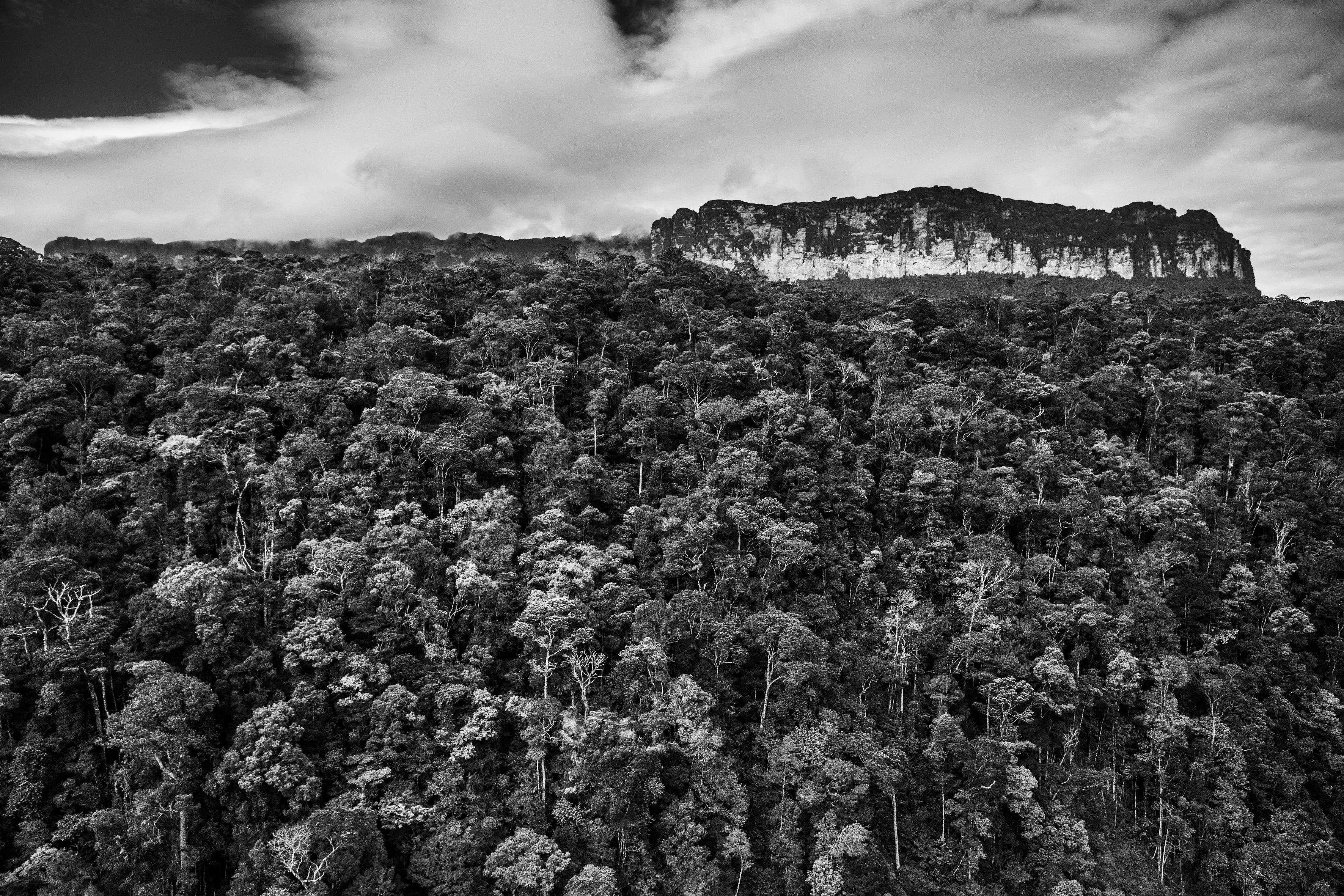 Raposa-Serra do Sol Indigenous Territory, State of Roraima, Brazil, 2018

The mountain range that defines the life of the Amazon basin lies far to the west of Brazil. But if the Andes provides most of the water that flows through hundreds of tributaries into the Amazon River, Brazil too can boast mountains. To the southeast lie the Brazilian Highlands, which include the mineral rich state of Minas Gerais. Heading north towards the heart of the rainforest, the landscape remains undulating, with a hilltop known as Serra Pelada in the state of Pará drawing one of the country's biggest-ever gold rushes in the 1980s. Even closer to the Amazon River, occasional large rock formations appear like intruders into the quiet order of the lowlands.