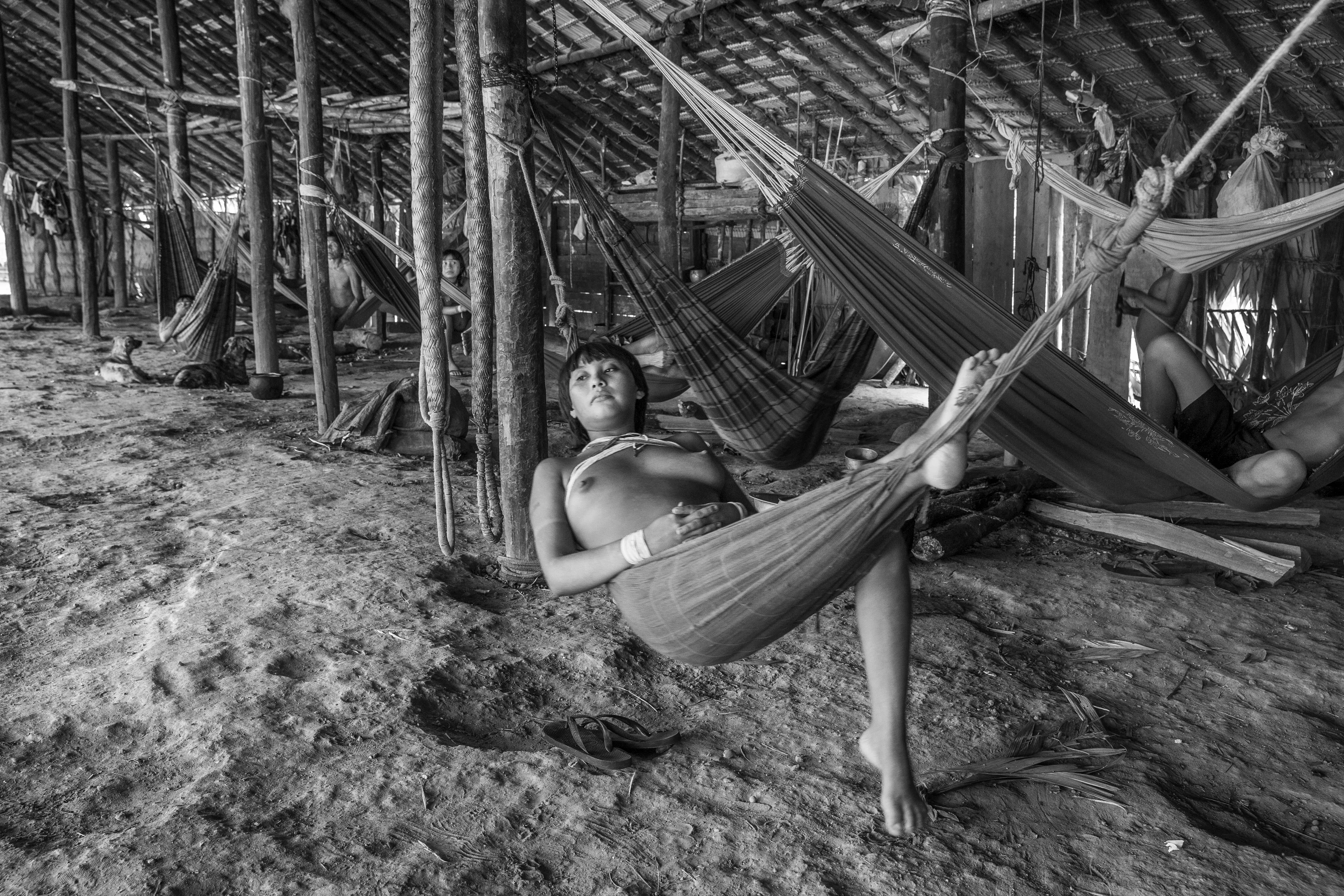 The communal maloca of Watoriki, Yanomami Indigenous Territory, State of Amazonas, Brazil, 2014.

The Yanomami are the largest low-contact indigenous ethnic group in the world. They have a population of around 40,000 people, with 28,000 in Brazil and the rest in Venezuela. They live in mountains ranges and valleys in the far north of Brazil, in the country's largest indigenous territory. The land extends from the north of the state of Roraima to the Rio Negro in the state of Amazonas. Shamanism is central to Yanomami culture. Their main leader is the shaman Davi Kopenawa, a pioneer in the campaign to establish the Yanomami Indigenous Territory, starting in the late 1970s. In 1993, Haximu, a Yanomami community, suffered a massacre by illegal miners. This led to the only conviction for the crime of genocide in the entire history of Brazilian justice. The Yanomami include at least one isolated group.