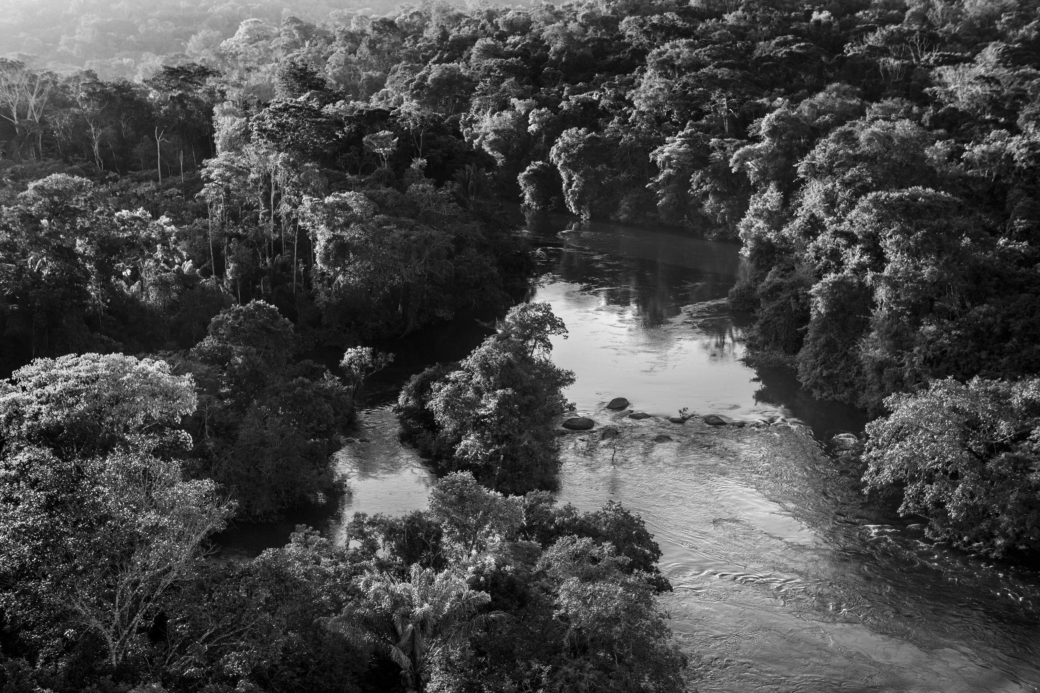 It is only possible to grasp the true dimension of the Amazon forest from space, occupying as it does one-third of the South American continent, an area larger than the entire European Union. Not marked are the land borders of the nine countries that share this ecosystem, although by far the largest part of the territory—over 60 percent—lies inside Brazil. At the heart of this extravaganza of nature is the Amazon River which, fed by some 1,100 tributaries, including 17 over 1,500 kilometers (930 miles) long, disgorges 20 percent of the world's freshwater when it finally enters the Atlantic Ocean. The rainforest also plays a crucial role in slowing climate change, notably as what is known as a "carbon sink." Put simply, every year its trees absorb around two billion tons of carbon dioxide, equivalent to five percent of total emission of greenhouse gases driving global warming. At the same time, the forest not only produces an important portion of the oxygen we breathe, but it also determines how much rain is delivered to other regions of South America and beyond. Nonetheless, with at least 17.25% of the biomass already cut down, the fear is that deforestation may soon reach "a point of no return" where the biome cannot recover, turning large areas of forest into tropical savannas.