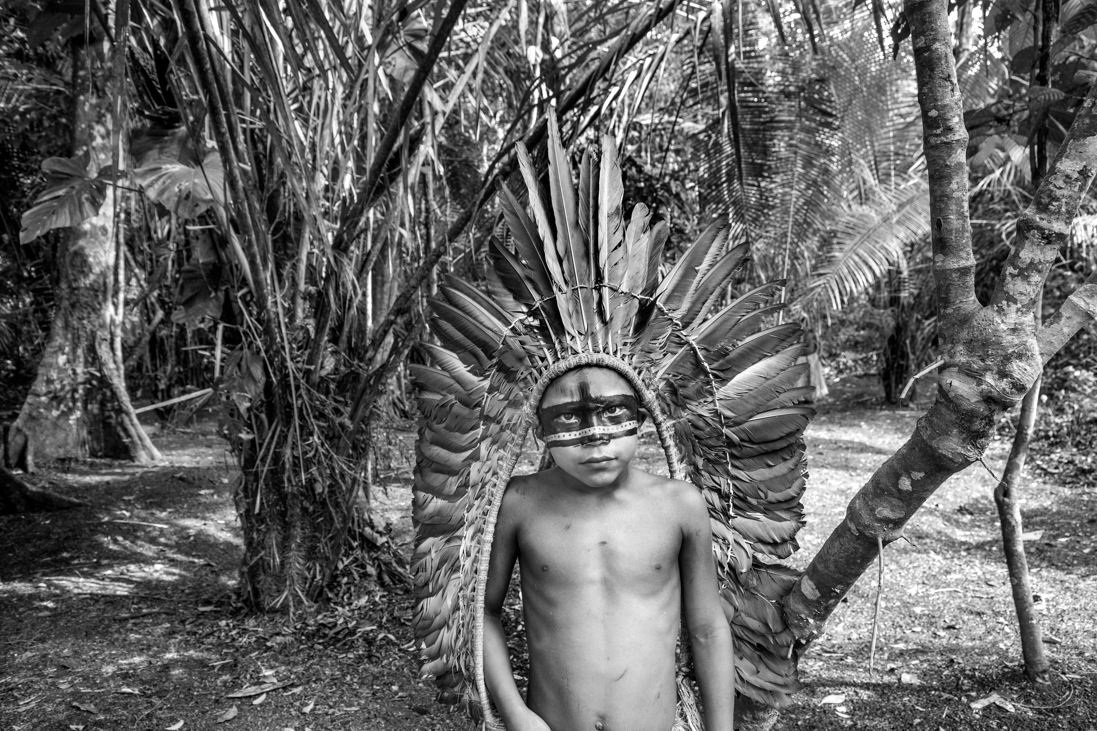 Nova Esperança community, Rio Gregório Yawanawá Indigenous Territory, State of Acre, Brazil, 2016.

In the course of some 50 years, the Yawanawá have emerged from complete invisibility into a period of exuberant cultural activity, becoming a reference point for sustainable living and indigenous culture for travelers from all over the world. In 1970, there were just 120 of them, with rampant alcoholism and the resulting social and cultural breakdown, to the point where their language was about to disappear. They were pressured not to use their language in front of whites, mainly by the owners of the rubber plantations, who controlled the forests of Acre from the late 19th century. The plantation owners treated them as slaves and did not want the language to reveal the existence of native tribes who might claim ownership of the land. Another threat was posed by Evangelical missionaries who had enforced Christian worship and attacked traditional indigenous rites as "demonic." Biraci Brasil Yawanawá, better known as Bira, assumed leadership of the group in the early 1990s, expelled the missionaries, got rid of the bibles, reestablished teaching of the traditional language, and began encouraging study of the old myths and stories as a way to pass down the old people's knowledge and memories to the new generations. In three decades, the population has grown to about 1,200 people.