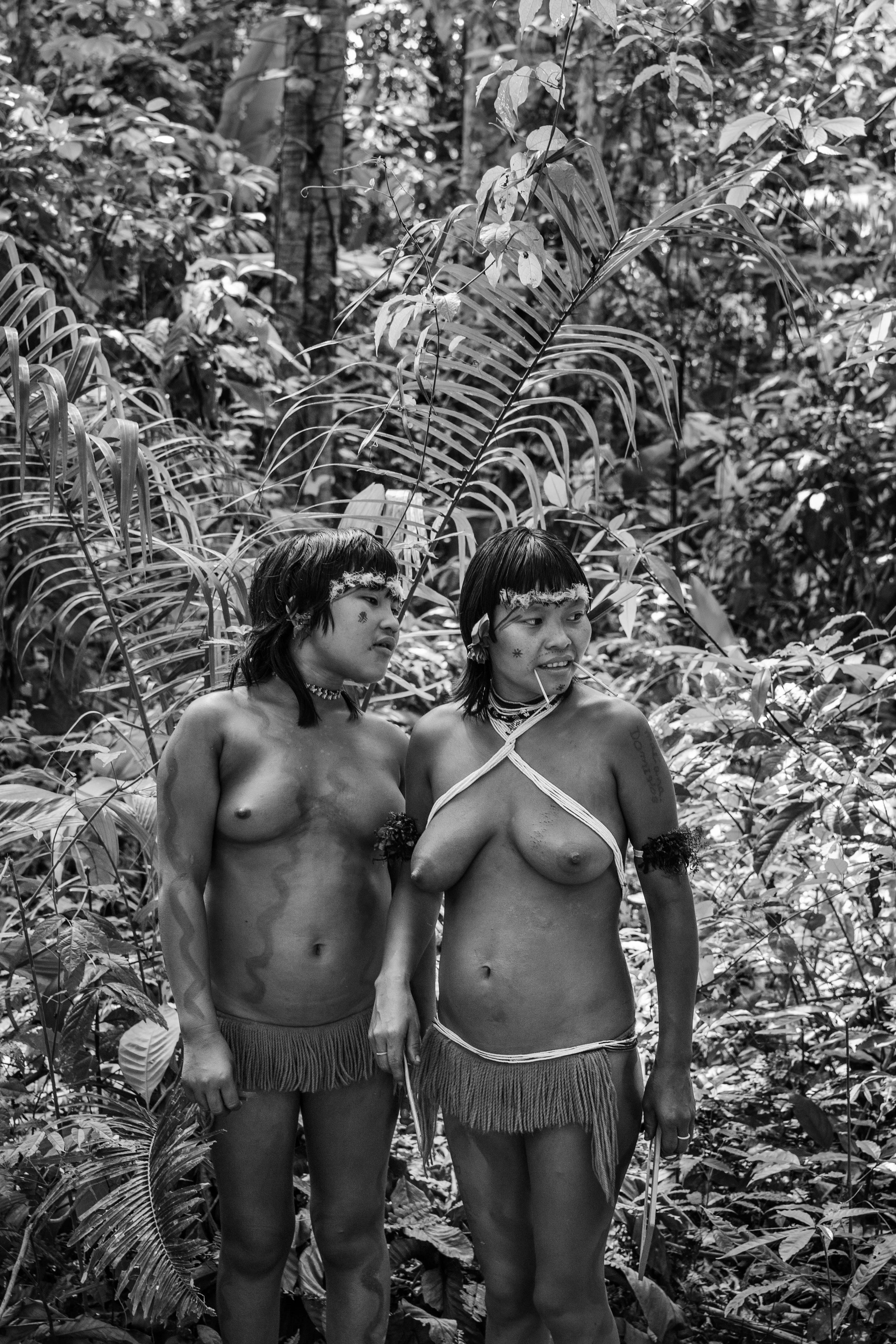 The communal maloca of Watoriki, Yanomami Indigenous Territory, State of Amazonas, Brazil, 2014.

The Yanomami are the largest low-contact indigenous ethnic group in the world. They have a population of around 40,000 people, with 28,000 in Brazil and the rest in Venezuela. They live in mountains ranges and valleys in the far north of Brazil, in the country's largest indigenous territory. The land extends from the north of the state of Roraima to the Rio Negro in the state of Amazonas. Shamanism is central to Yanomami culture. Their main leader is the shaman Davi Kopenawa, a pioneer in the campaign to establish the Yanomami Indigenous Territory, starting in the late 1970s. In 1993, Haximu, a Yanomami community, suffered a massacre by illegal miners. This led to the only conviction for the crime of genocide in the entire history of Brazilian justice. The Yanomami include at least one isolated group.