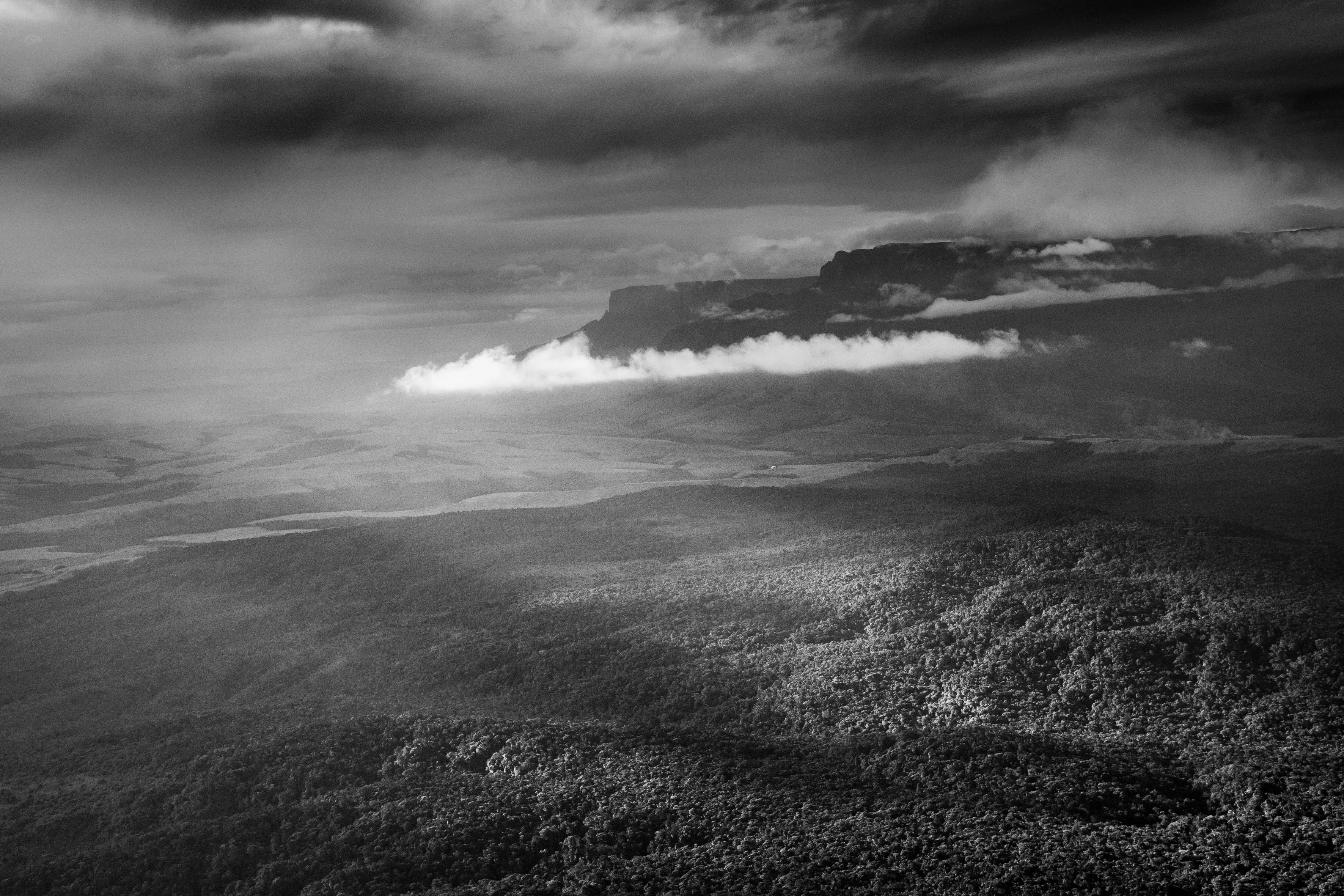 It is only possible to grasp the true dimension of the Amazon forest from space, occupying as it does one-third of the South American continent, an area larger than the entire European Union. Not marked are the land borders of the nine countries that share this ecosystem, although by far the largest part of the territory—over 60 percent—lies inside Brazil. At the heart of this extravaganza of nature is the Amazon River which, fed by some 1,100 tributaries, including 17 over 1,500 kilometers (930 miles) long, disgorges 20 percent of the world's freshwater when it finally enters the Atlantic Ocean. The rainforest also plays a crucial role in slowing climate change, notably as what is known as a "carbon sink." Put simply, every year its trees absorb around two billion tons of carbon dioxide, equivalent to five percent of total emission of greenhouse gases driving global warming. At the same time, the forest not only produces an important portion of the oxygen we breathe, but it also determines how much rain is delivered to other regions of South America and beyond. Nonetheless, with at least 17.25% of the biomass already cut down, the fear is that deforestation may soon reach "a point of no return" where the biome cannot recover, turning large areas of forest into tropical savannas.