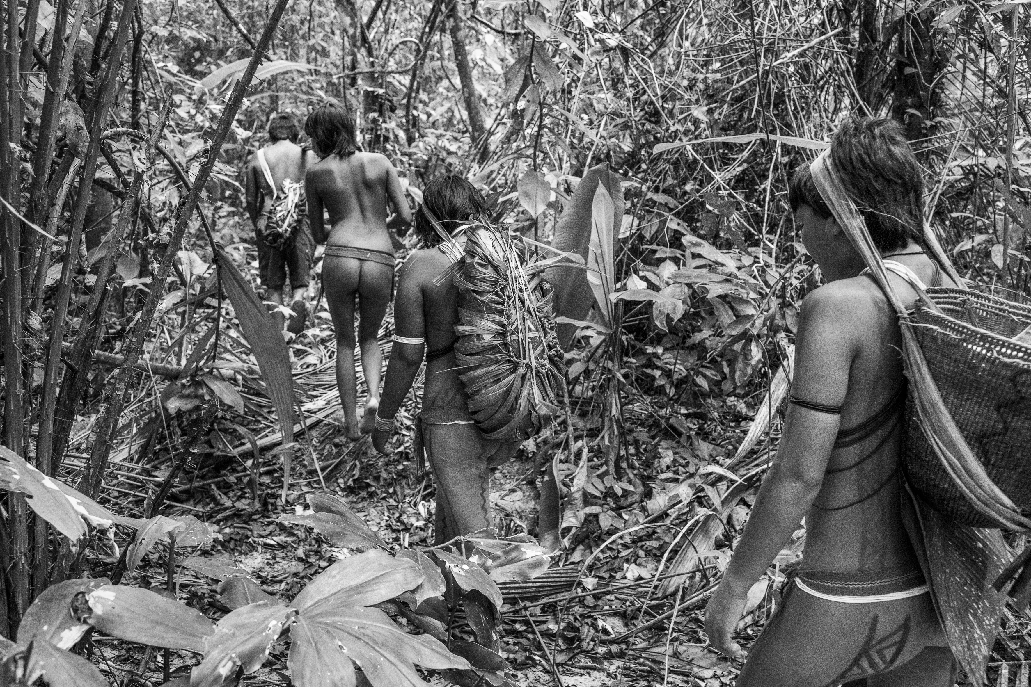 The communal maloca of Watoriki, Yanomami Indigenous Territory, State of Amazonas, Brazil, 2014.

The Yanomami are the largest low-contact indigenous ethnic group in the world. They have a population of around 40,000 people, with 28,000 in Brazil and the rest in Venezuela. They live in mountains ranges and valleys in the far north of Brazil, in the country's largest indigenous territory. The land extends from the north of the state of Roraima to the Rio Negro in the state of Amazonas. Shamanism is central to Yanomami culture. Their main leader is the shaman Davi Kopenawa, a pioneer in the campaign to establish the Yanomami Indigenous Territory, starting in the late 1970s. In 1993, Haximu, a Yanomami community, suffered a massacre by illegal miners. This led to the only conviction for the crime of genocide in the entire history of Brazilian justice. The Yanomami include at least one isolated group.