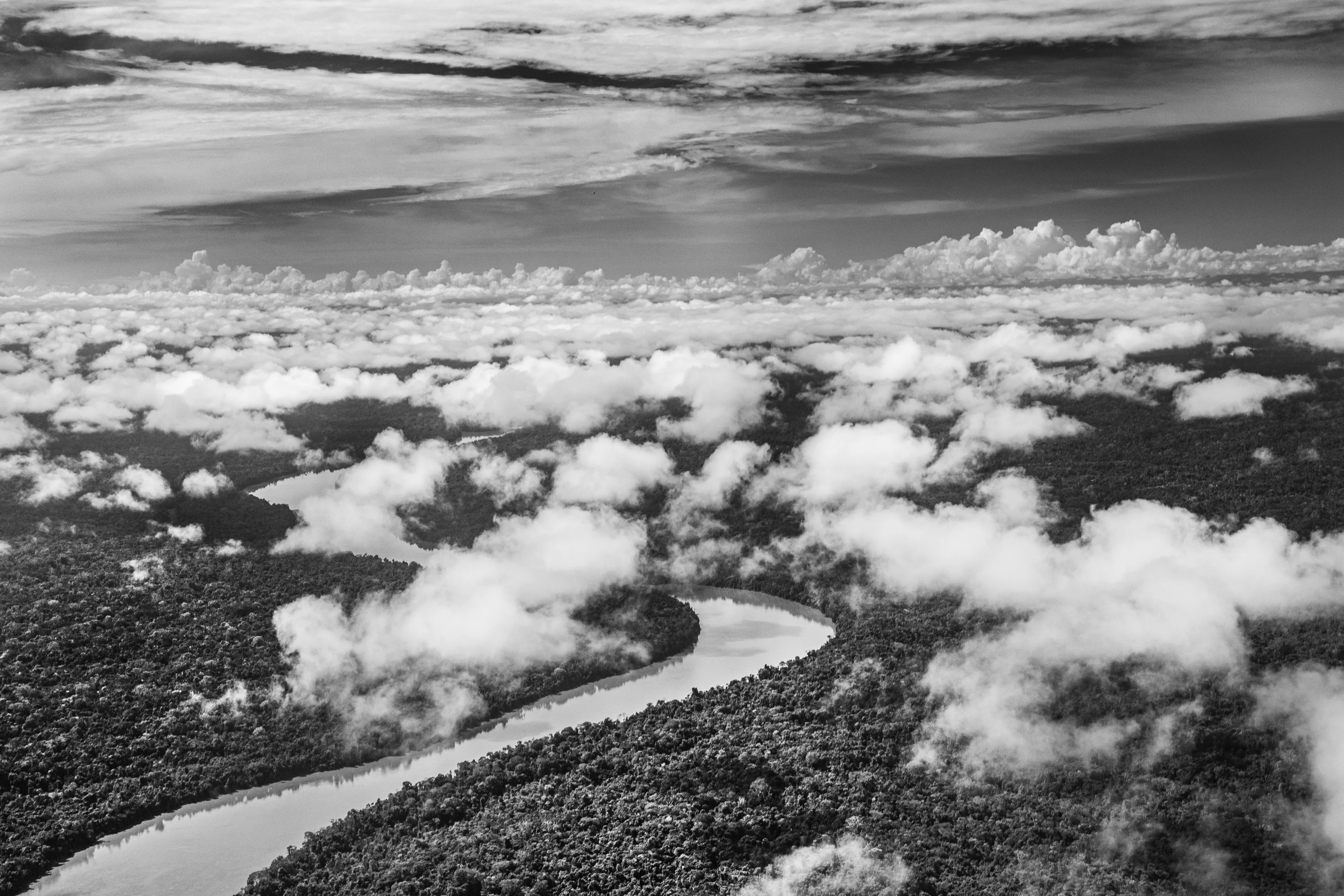 State of Roraima, Brazil, 2018

One of the most extraordinary - and perhaps least known - features of the Amazon rainforest is a phenomenon variously known as "flying rivers" or "aerial rivers." It may seem like a contradiction to talk of a "river" that cannot be seen, yet these "flying rivers" carry more water than the Amazon River itself and affect a larger area of South America and beyond. Scientists have estimated that, while 17 billion tons of water enter the Atlantic from the Amazon River each day, over a similar period 20 billion tons of water rise into the atmosphere from the jungle, earning it the nickname of the "Green Ocean", and then leave the Amazon region. What is remarkable, though, is the scale on which this takes place. A large tree can suck water from as much as 60 meters below the ground and produce as many as 1,000 liters of water per day. And since this is repeated by between 400 and 600 billion trees, it is easy to see how the Amazon forest generates an important proportion of the water that it later receives. In fact, even the water that reaches the mainland through evaporation of sea-water is itself quickly recycled by the jungle in a process known technically as "evapotranspiration." But if the "flying rivers" are vital to the economic welfare of tens of millions of people, mainly in Brazil, they also impact weather patterns across the globe and are themselves vulnerable to the effects of deforestation and global warming.