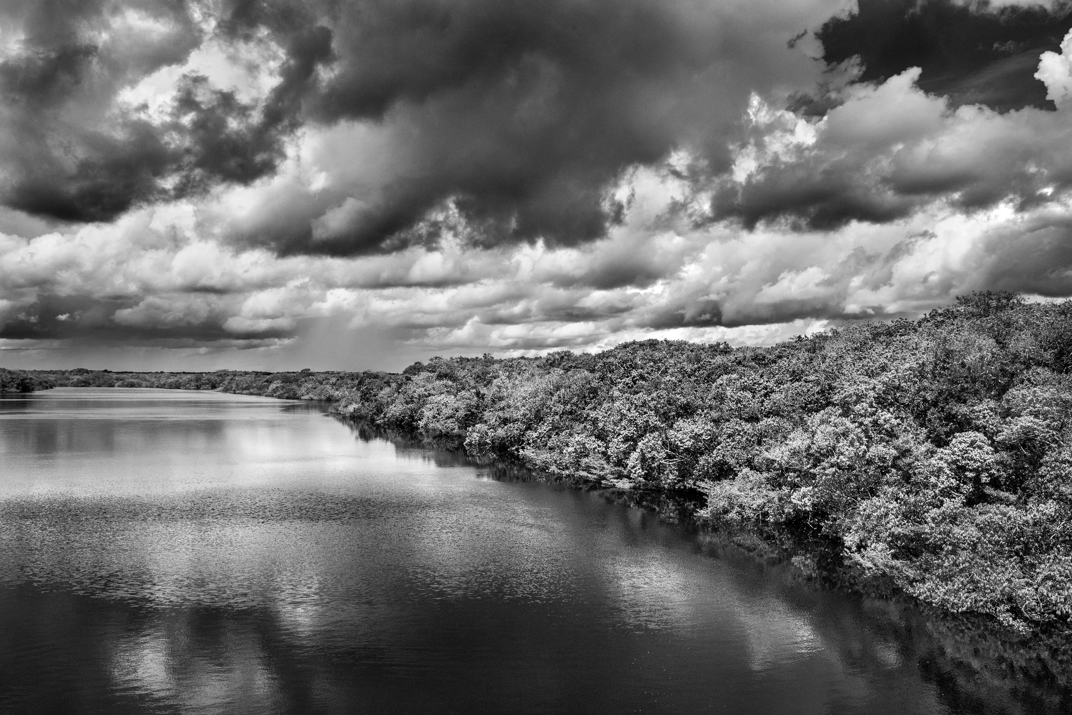 Jaú National Park, State of Amazonas, Brazil, 2019

Over the Amazon rainforest, rare is the day when you can see a clear sheet of blue sky or a solid blanket of gray cloud. Rather cloud formations offer an ever-changing spectacle. This begins in the morning when warm moist air rises from the jungle and makes contact with minuscule particles which permit the vapor to condense into water droplets and become little clouds resembling cotton balls known locally as aru. As the day advances, they rise and join forces and, temperature and wind speed permitting, gather strength to become a storm cloud known as a cumulonimbus. This is quite the most dangerous meteorological formation, reaching several thousand meters into the sky, spewing out pieces of ice and winds of up to 200 kilometers per hour (125 miles per hour) at the same time as sending lightning, strong winds, and fierce precipitation toward the jungle. Such is its force that even large aircraft will do everything to avoid it, helicopters immediately look for a jungle clearing in order to land and riverboats hurriedly take shelter from the blinding rain.