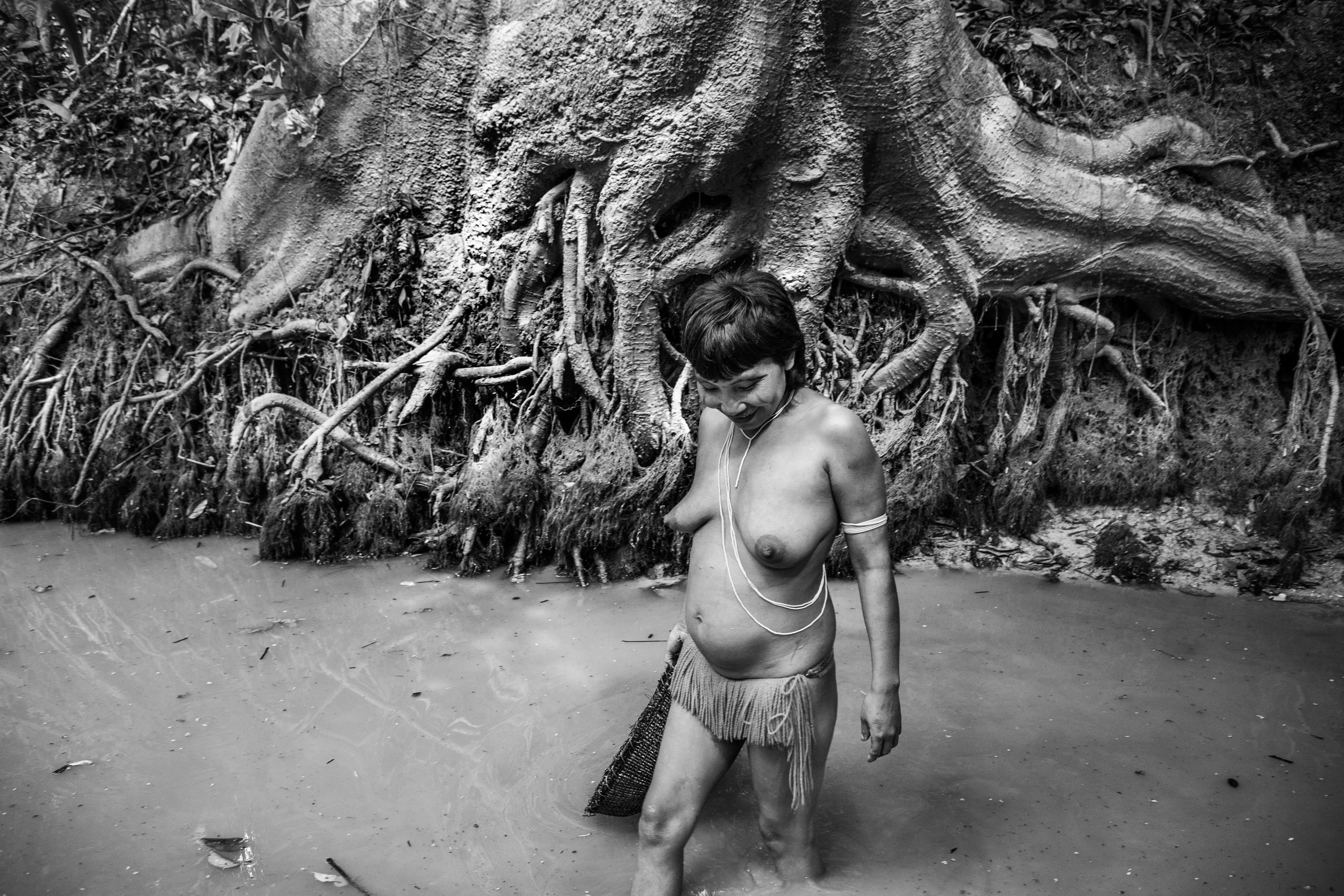 The community of Piaú, Yanomami Indigenous Territory, State of Amazonas, Brazil, 2019.

The Yanomami are the largest low-contact indigenous ethnic group in the world. They have a population of around 40,000 people, with 28,000 in Brazil and the rest in Venezuela. They live in mountains ranges and valleys in the far north of Brazil, in the country's largest indigenous territory. The land extends from the north of the state of Roraima to the Rio Negro in the state of Amazonas. Shamanism is central to Yanomami culture. Their main leader is the shaman Davi Kopenawa, a pioneer in the campaign to establish the Yanomami Indigenous Territory, starting in the late 1970s. In 1993, Haximu, a Yanomami community, suffered a massacre by illegal miners. This led to the only conviction for the crime of genocide in the entire history of Brazilian justice. The Yanomami include at least one isolated group.