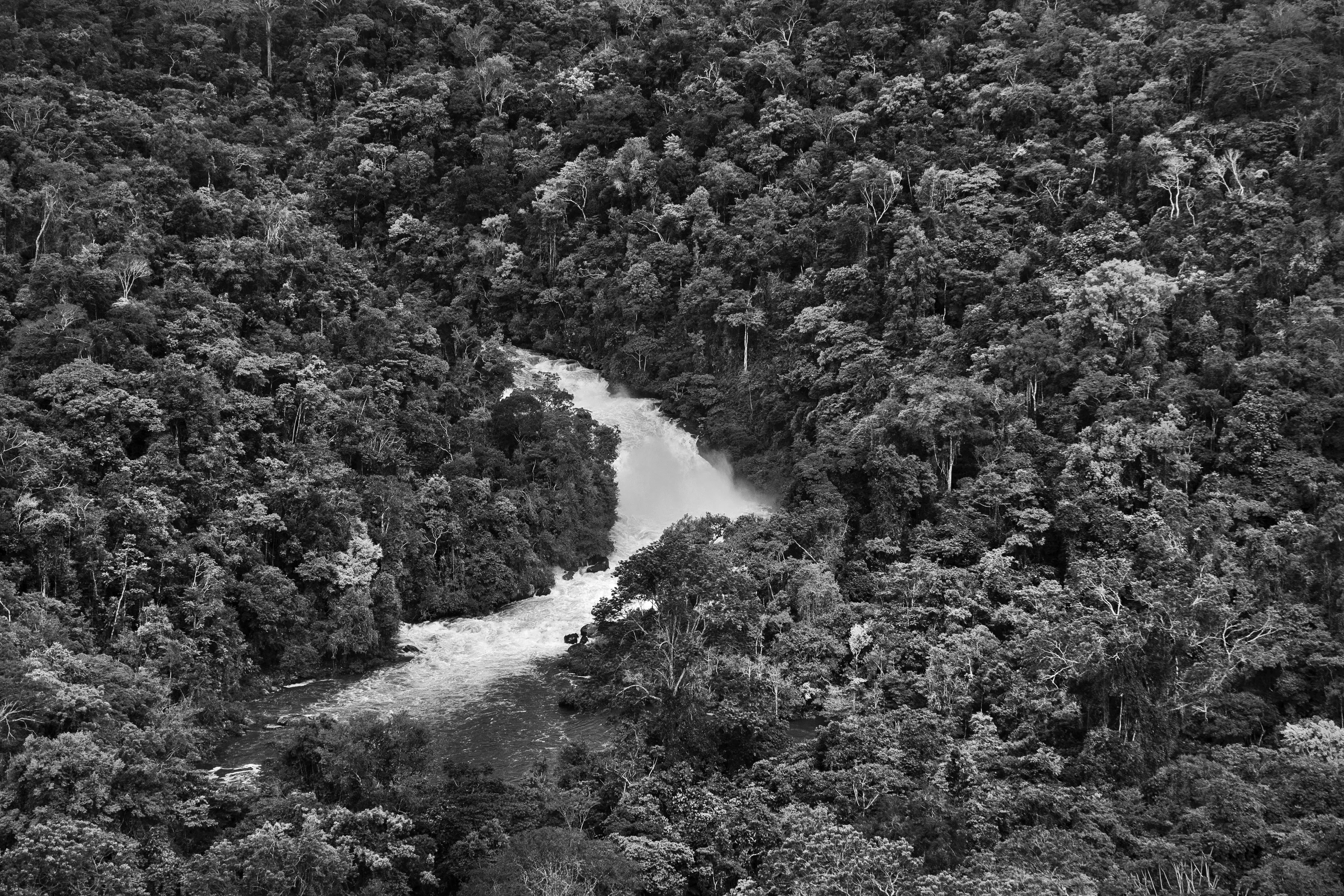 For centuries after Portugal colonized Brazil, the Amazon rainforest was nicknamed the Green Hell, an impenetrable rain-sodden jungle that offered only danger to outsiders. Many expeditions, above all those hoping to find gold in the mythical lost city of El Dorado, never returned. Some may have been killed by hostile native tribes or died of snake bites or starvation, but a surprisingly large number of explorers chose to settle down with indigenous tribes and share their bucolic way of life. Today, the rainforest is viewed more benignly, sometimes even romantically, as the Green Paradise, more often simply as an extraordinary treasure of nature, one with the planet's largest concentration of botanical species, including some 16,000 species of trees and innumerable plants with remarkable medicinal potential. Further, this unparalleled concentration of vegetation absorbs greenhouse gases and breathes out oxygen. It also offers a traditionally secure home to hundreds of indigenous tribes, some of whom have never had contact with the outside world.