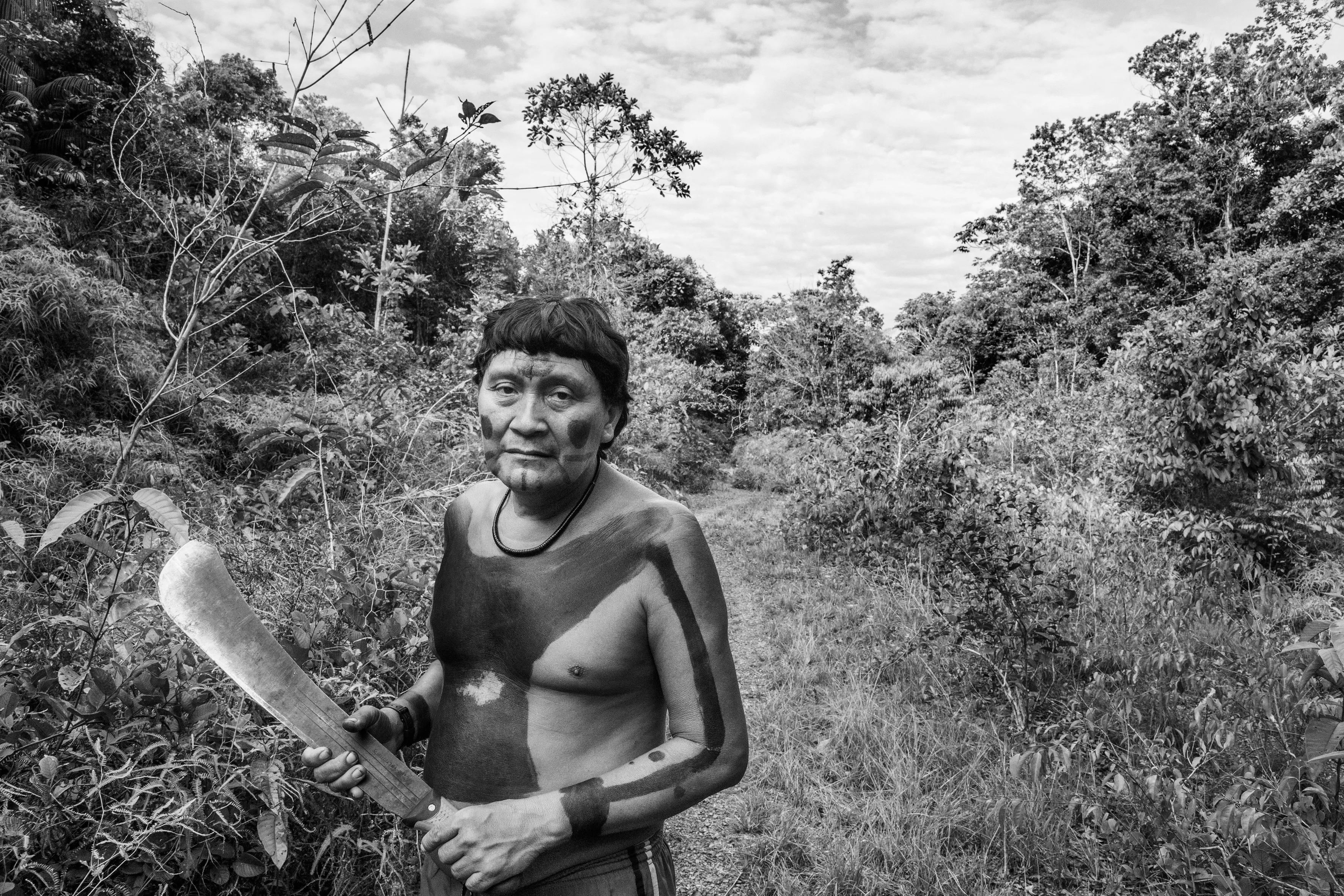The communal maloca of Watoriki, Yanomami Indigenous Territory, State of Amazonas, Brazil, 2014.

The Yanomami are the largest low-contact indigenous ethnic group in the world. They have a population of around 40,000 people, with 28,000 in Brazil and the rest in Venezuela. They live in mountains ranges and valleys in the far north of Brazil, in the country's largest indigenous territory. The land extends from the north of the state of Roraima to the Rio Negro in the state of Amazonas. Shamanism is central to Yanomami culture. Their main leader is the shaman Davi Kopenawa, a pioneer in the campaign to establish the Yanomami Indigenous Territory, starting in the late 1970s. In 1993, Haximu, a Yanomami community, suffered a massacre by illegal miners. This led to the only conviction for the crime of genocide in the entire history of Brazilian justice. The Yanomami include at least one isolated group.