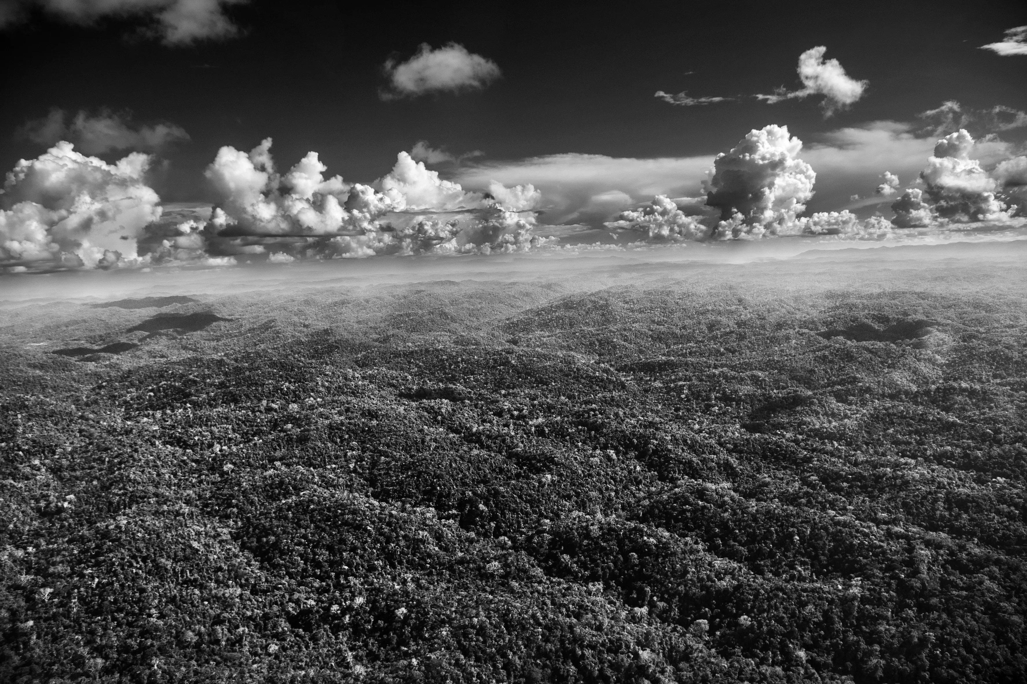 It is only possible to grasp the true dimension of the Amazon forest from space, occupying as it does one-third of the South American continent, an area larger than the entire European Union. Not marked are the land borders of the nine countries that share this ecosystem, although by far the largest part of the territory—over 60 percent—lies inside Brazil. At the heart of this extravaganza of nature is the Amazon River which, fed by some 1,100 tributaries, including 17 over 1,500 kilometers (930 miles) long, disgorges 20 percent of the world's freshwater when it finally enters the Atlantic Ocean. The rainforest also plays a crucial role in slowing climate change, notably as what is known as a "carbon sink." Put simply, every year its trees absorb around two billion tons of carbon dioxide, equivalent to five percent of total emission of greenhouse gases driving global warming. At the same time, the forest not only produces an important portion of the oxygen we breathe, but it also determines how much rain is delivered to other regions of South America and beyond. Nonetheless, with at least 17.25% of the biomass already cut down, the fear is that deforestation may soon reach "a point of no return" where the biome cannot recover, turning large areas of forest into tropical savannas.