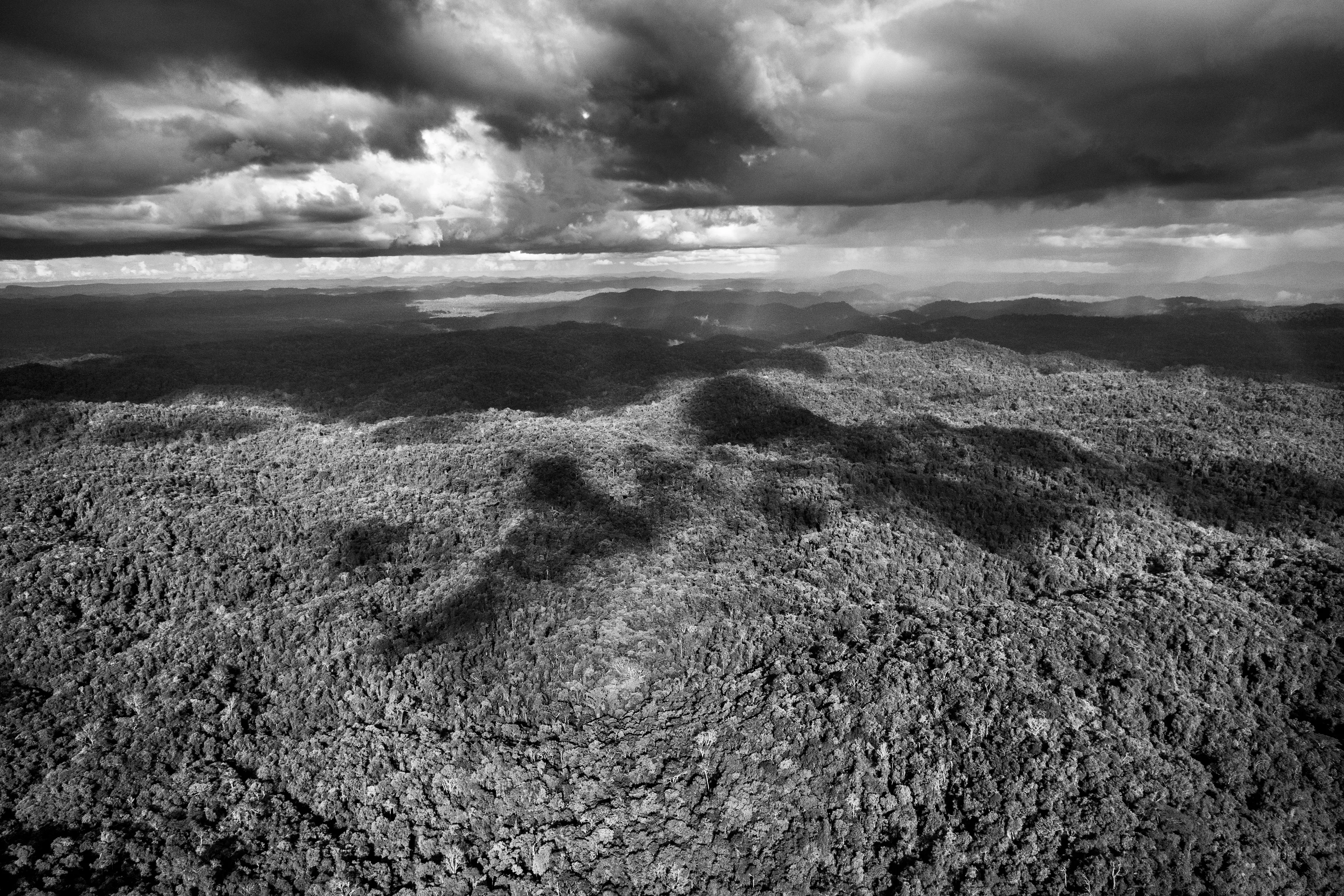 Parima Forest Reserve, State of Roraima, Brazil, 2018

Over the Amazon rainforest, rare is the day when you can see a clear sheet of blue sky or a solid blanket of gray cloud. Rather cloud formations offer an ever-changing spectacle. This begins in the morning when warm moist air rises from the jungle and makes contact with minuscule particles which permit the vapor to condense into water droplets and become little clouds resembling cotton balls known locally as aru. As the day advances, they rise and join forces and, temperature and wind speed permitting, gather strength to become a storm cloud known as a cumulonimbus. This is quite the most dangerous meteorological formation, reaching several thousand meters into the sky, spewing out pieces of ice and winds of up to 200 kilometers per hour (125 miles per hour) at the same time as sending lightning, strong winds, and fierce precipitation toward the jungle. Such is its force that even large aircraft will do everything to avoid it, helicopters immediately look for a jungle clearing in order to land and riverboats hurriedly take shelter from the blinding rain.