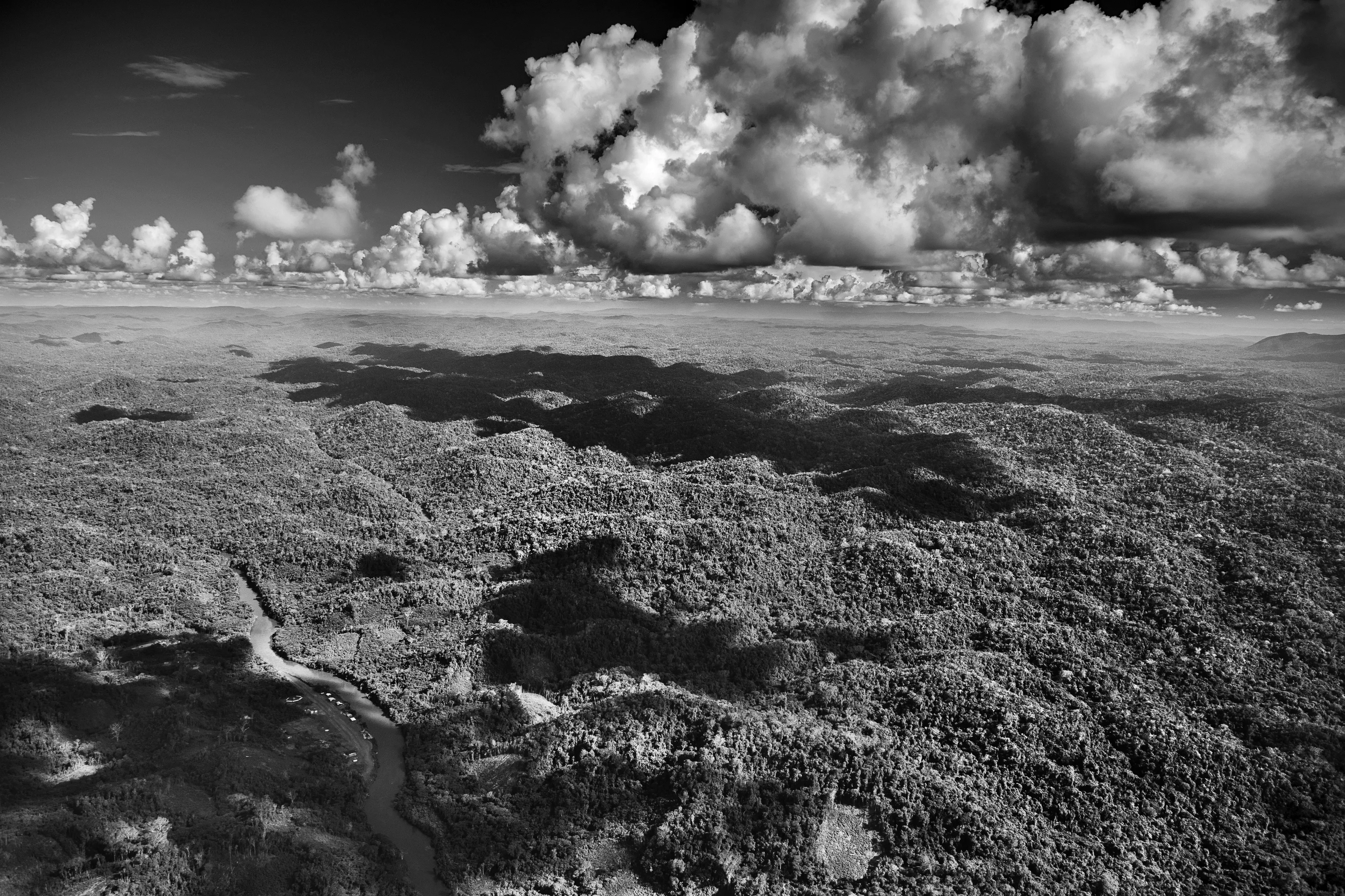 It is only possible to grasp the true dimension of the Amazon forest from space, occupying as it does one-third of the South American continent, an area larger than the entire European Union. Not marked are the land borders of the nine countries that share this ecosystem, although by far the largest part of the territory—over 60 percent—lies inside Brazil. At the heart of this extravaganza of nature is the Amazon River which, fed by some 1,100 tributaries, including 17 over 1,500 kilometers (930 miles) long, disgorges 20 percent of the world's freshwater when it finally enters the Atlantic Ocean. The rainforest also plays a crucial role in slowing climate change, notably as what is known as a "carbon sink." Put simply, every year its trees absorb around two billion tons of carbon dioxide, equivalent to five percent of total emission of greenhouse gases driving global warming. At the same time, the forest not only produces an important portion of the oxygen we breathe, but it also determines how much rain is delivered to other regions of South America and beyond. Nonetheless, with at least 17.25% of the biomass already cut down, the fear is that deforestation may soon reach "a point of no return" where the biome cannot recover, turning large areas of forest into tropical savannas.