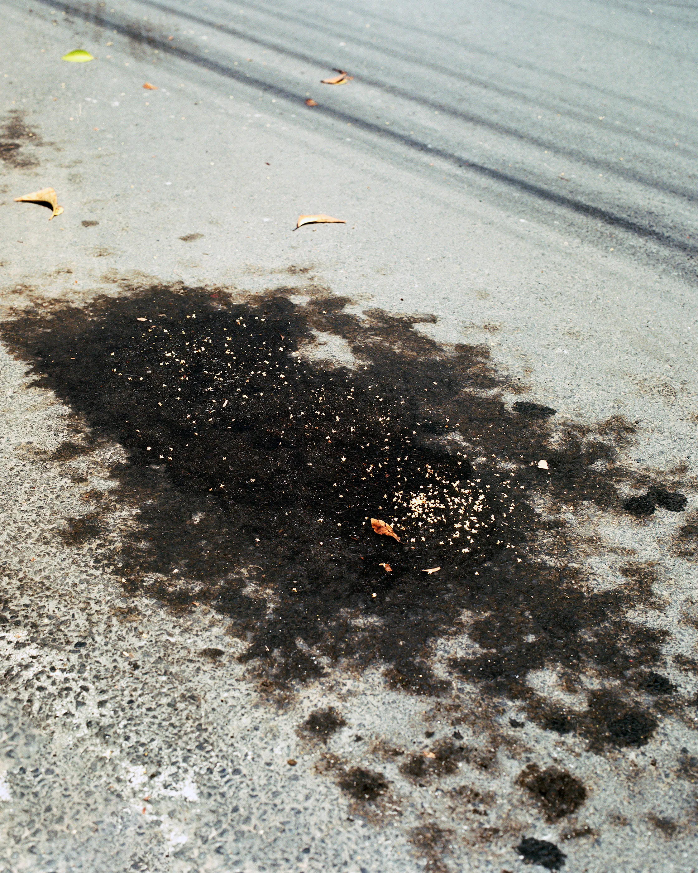 The Infinite Corridor was made in a series of long walks through the sunny streets of northern Mexico. 

Photographed in a chaotic, fragmented style, I hope this collection feels as uncomfortable as it is to walk through the streets of these cities.