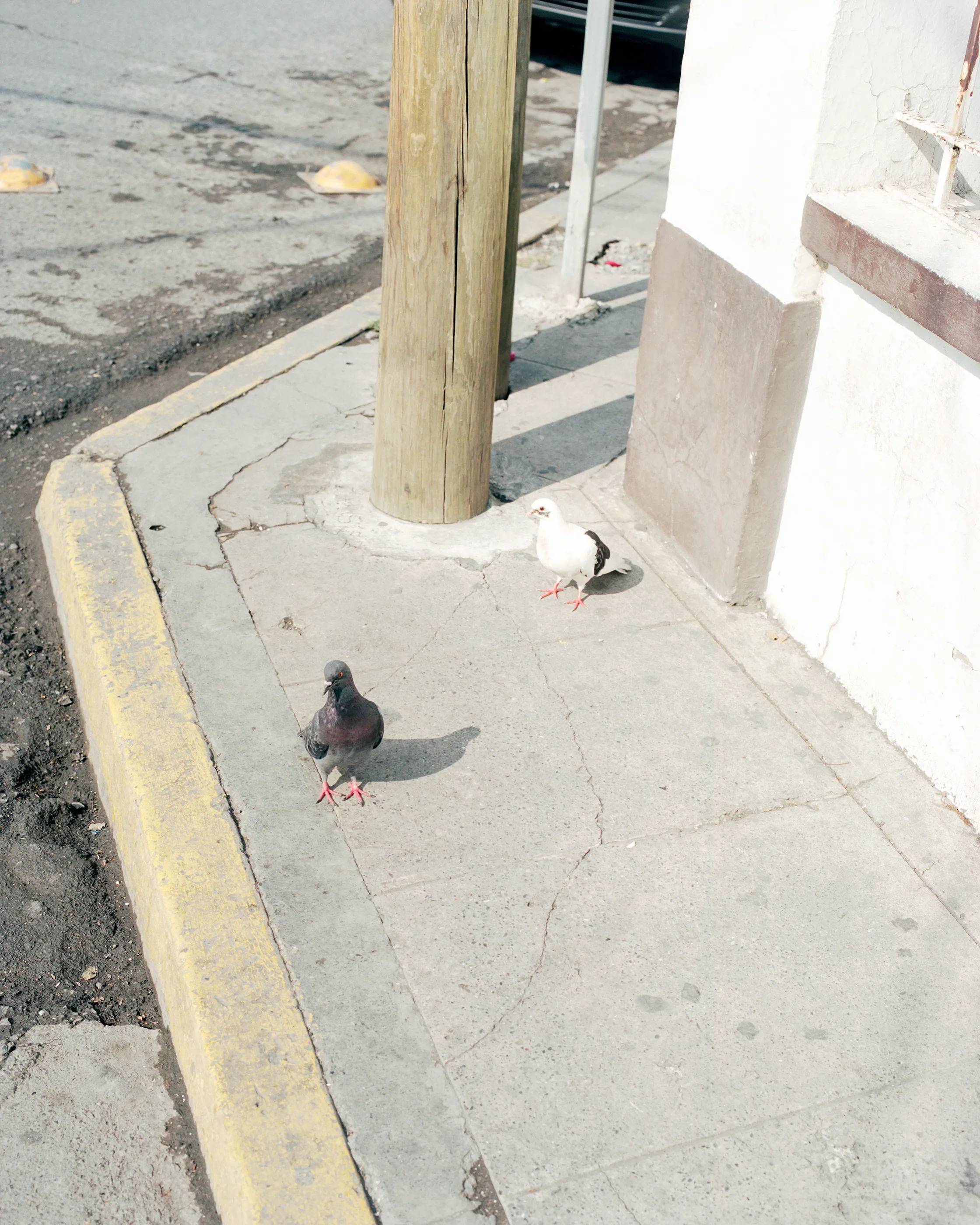 The Infinite Corridor was made in a series of long walks through the sunny streets of northern Mexico. 

Photographed in a chaotic, fragmented style, I hope this collection feels as uncomfortable as it is to walk through the streets of these cities.