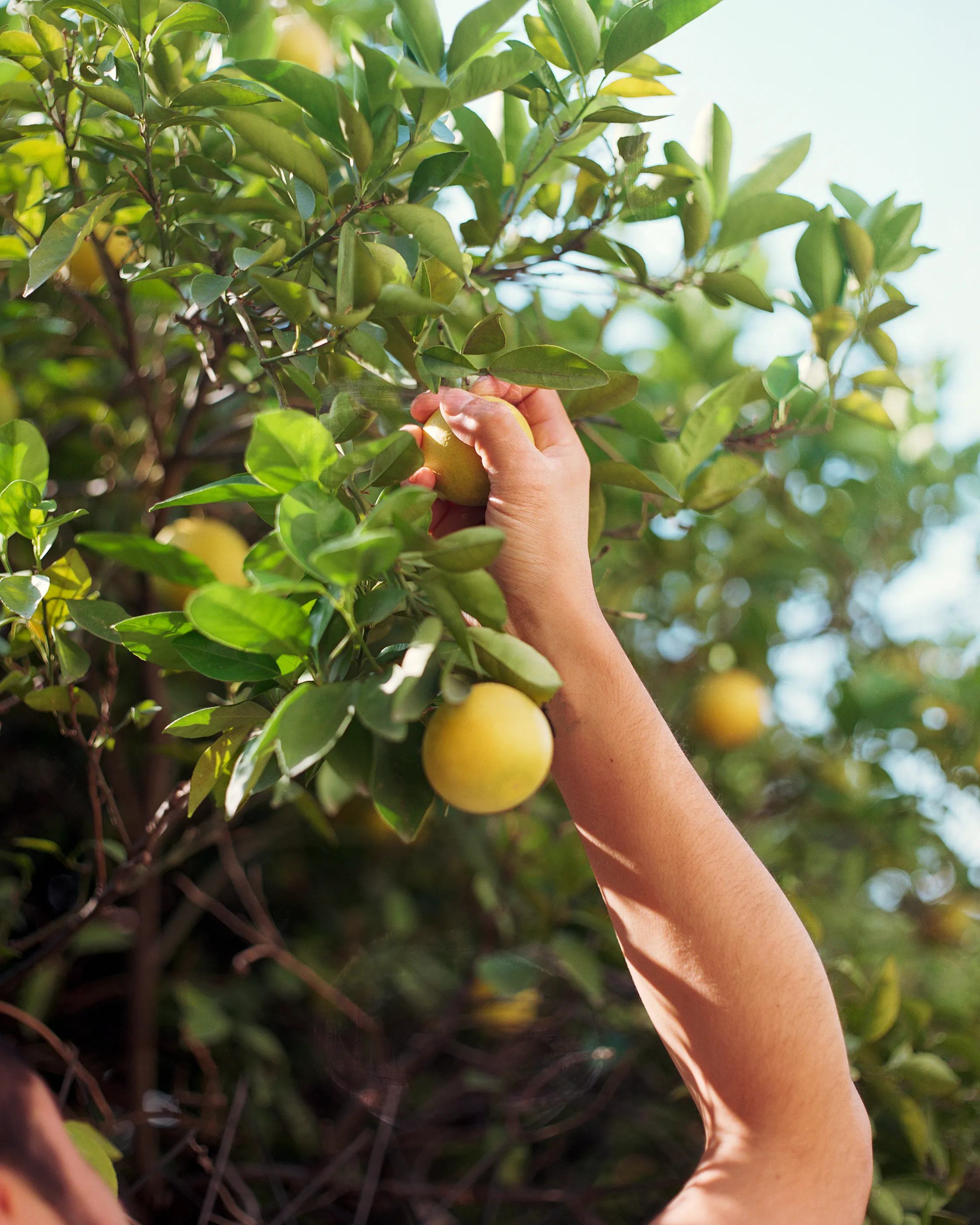 The Infinite Corridor was made in a series of long walks through the sunny streets of northern Mexico. 

Photographed in a chaotic, fragmented style, I hope this collection feels as uncomfortable as it is to walk through the streets of these cities.