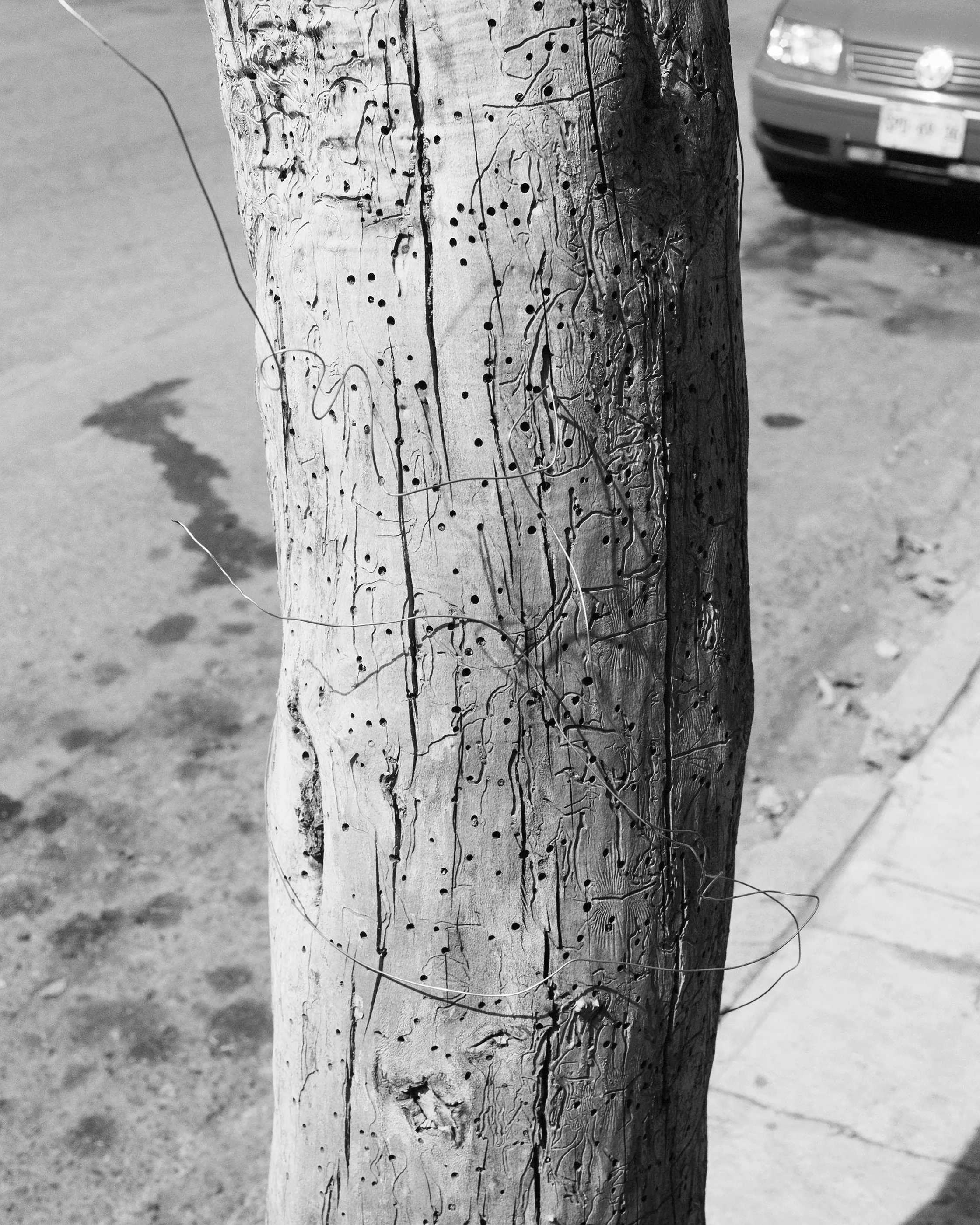 The Infinite Corridor was made in a series of long walks through the sunny streets of northern Mexico. 

Photographed in a chaotic, fragmented style, I hope this collection feels as uncomfortable as it is to walk through the streets of these cities.