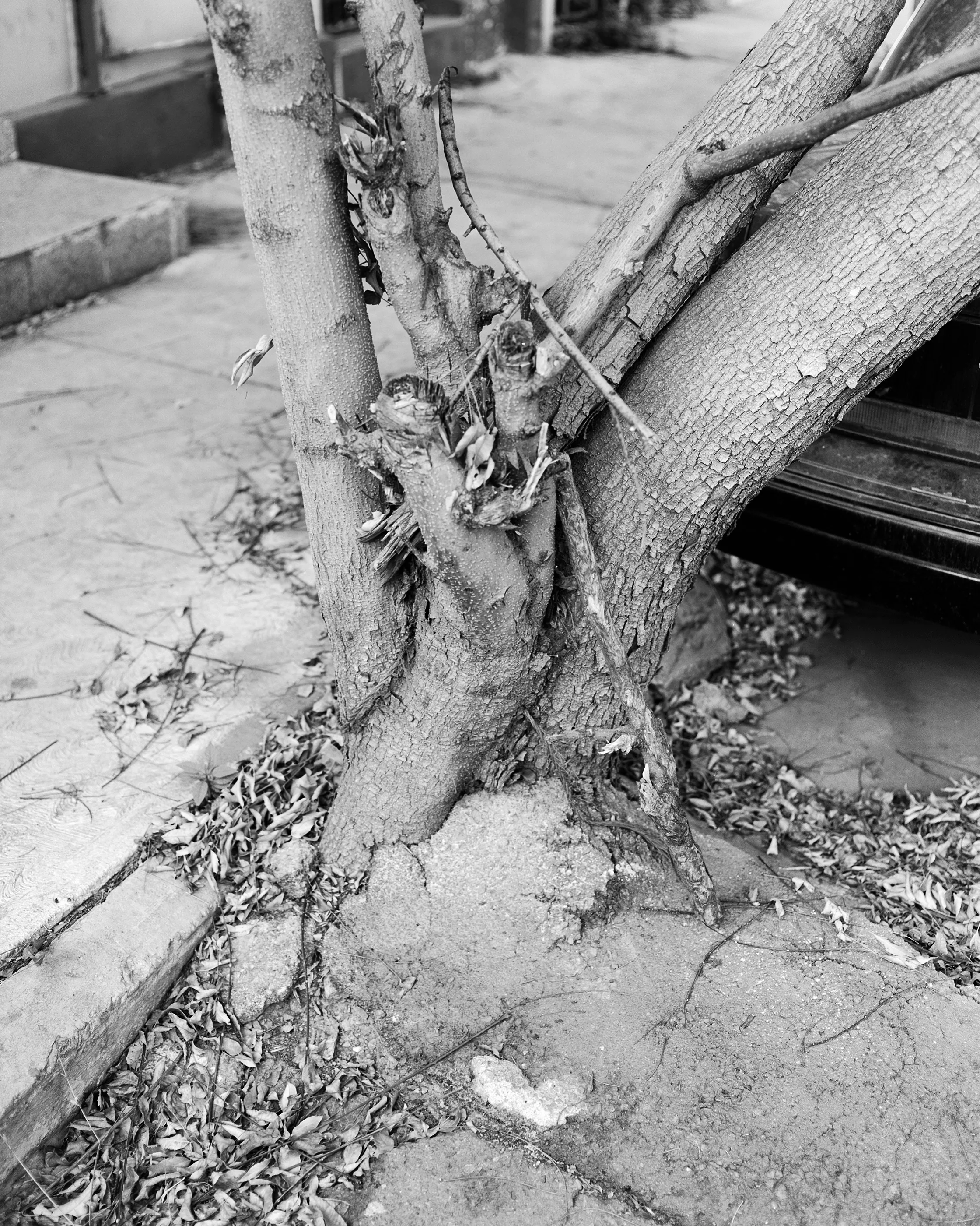 The Infinite Corridor was made in a series of long walks through the sunny streets of northern Mexico. 

Photographed in a chaotic, fragmented style, I hope this collection feels as uncomfortable as it is to walk through the streets of these cities.