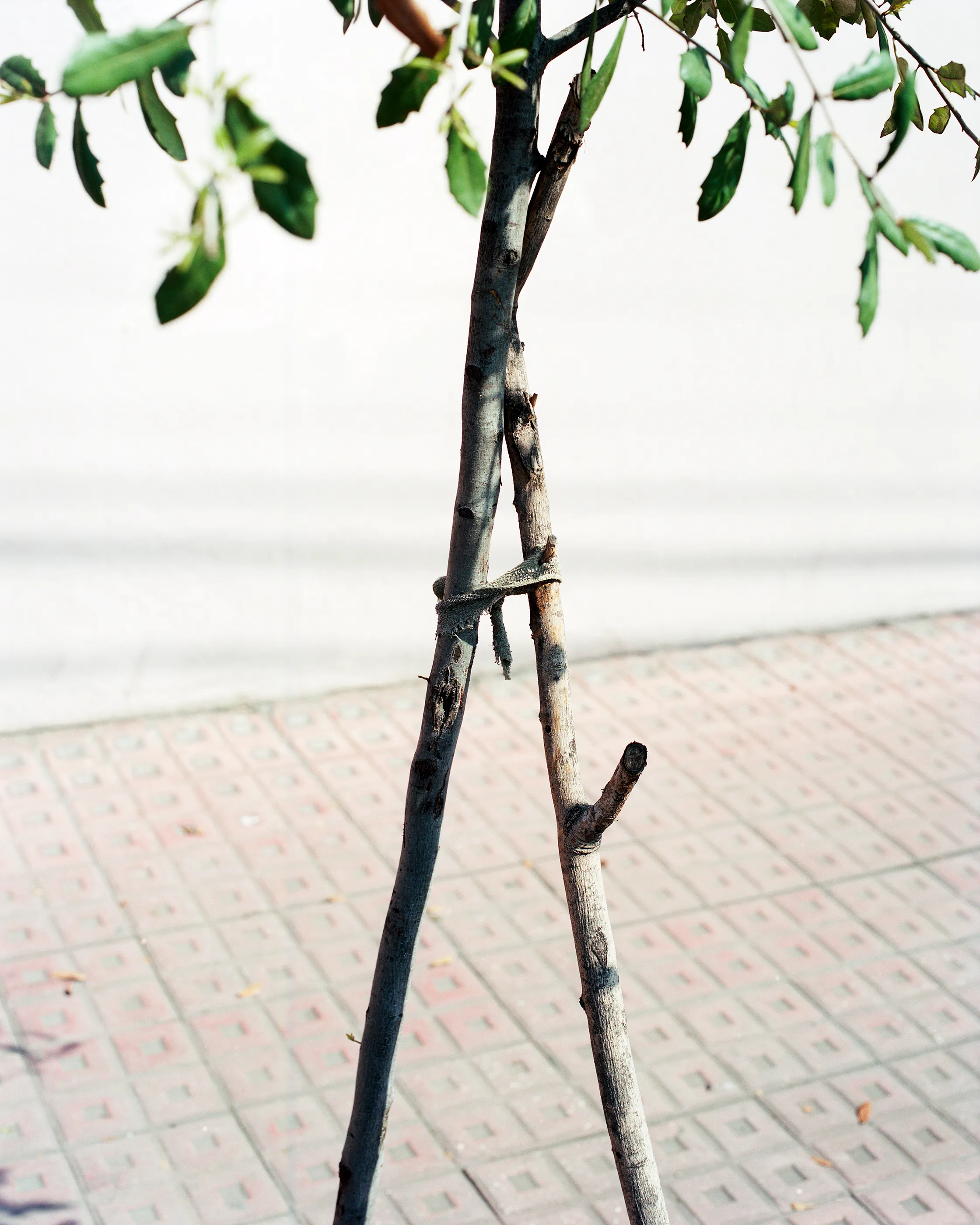The Infinite Corridor was made in a series of long walks through the sunny streets of northern Mexico. 

Photographed in a chaotic, fragmented style, I hope this collection feels as uncomfortable as it is to walk through the streets of these cities.