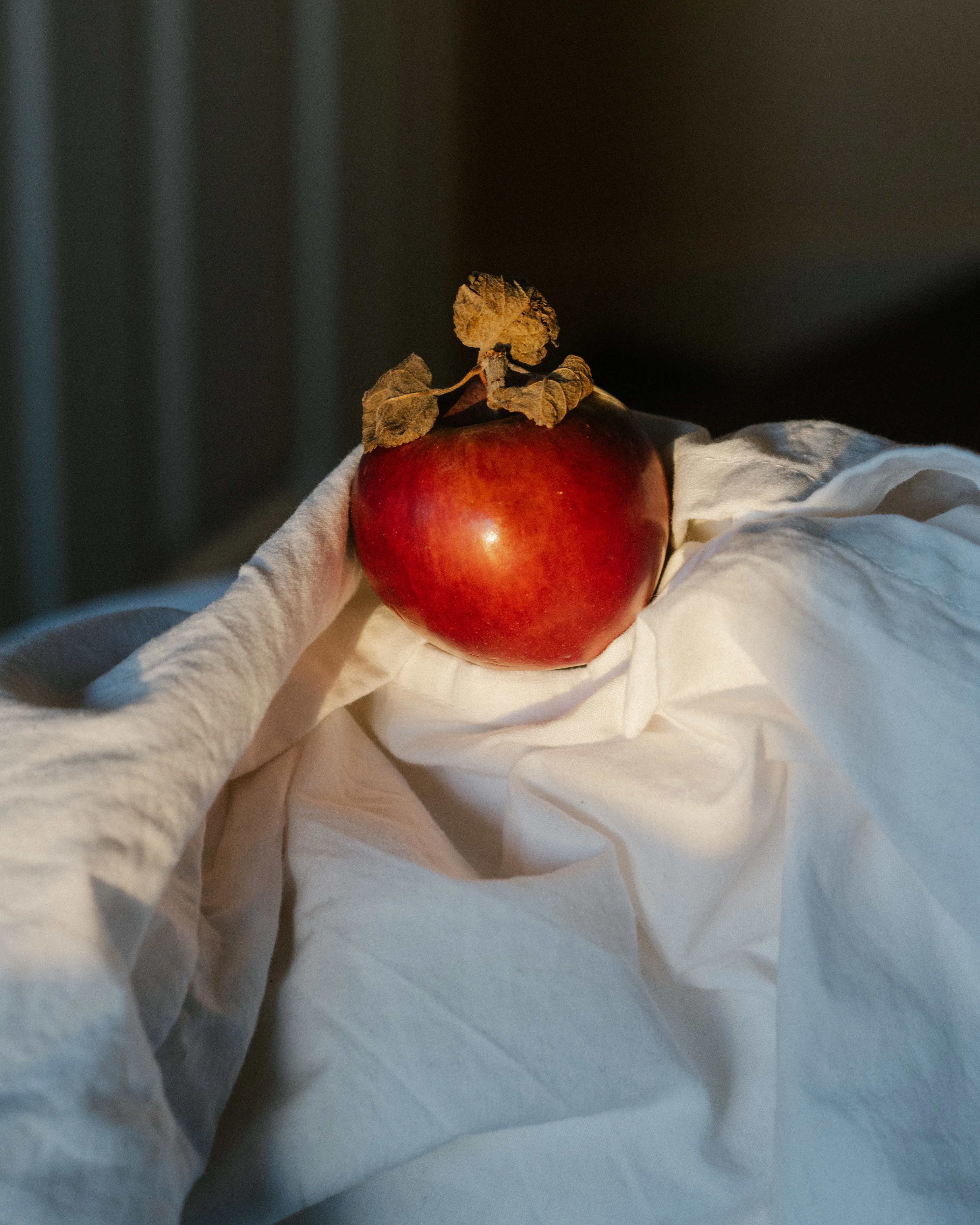 An apple on my bed sheets, April 2021.

Alina Trifan