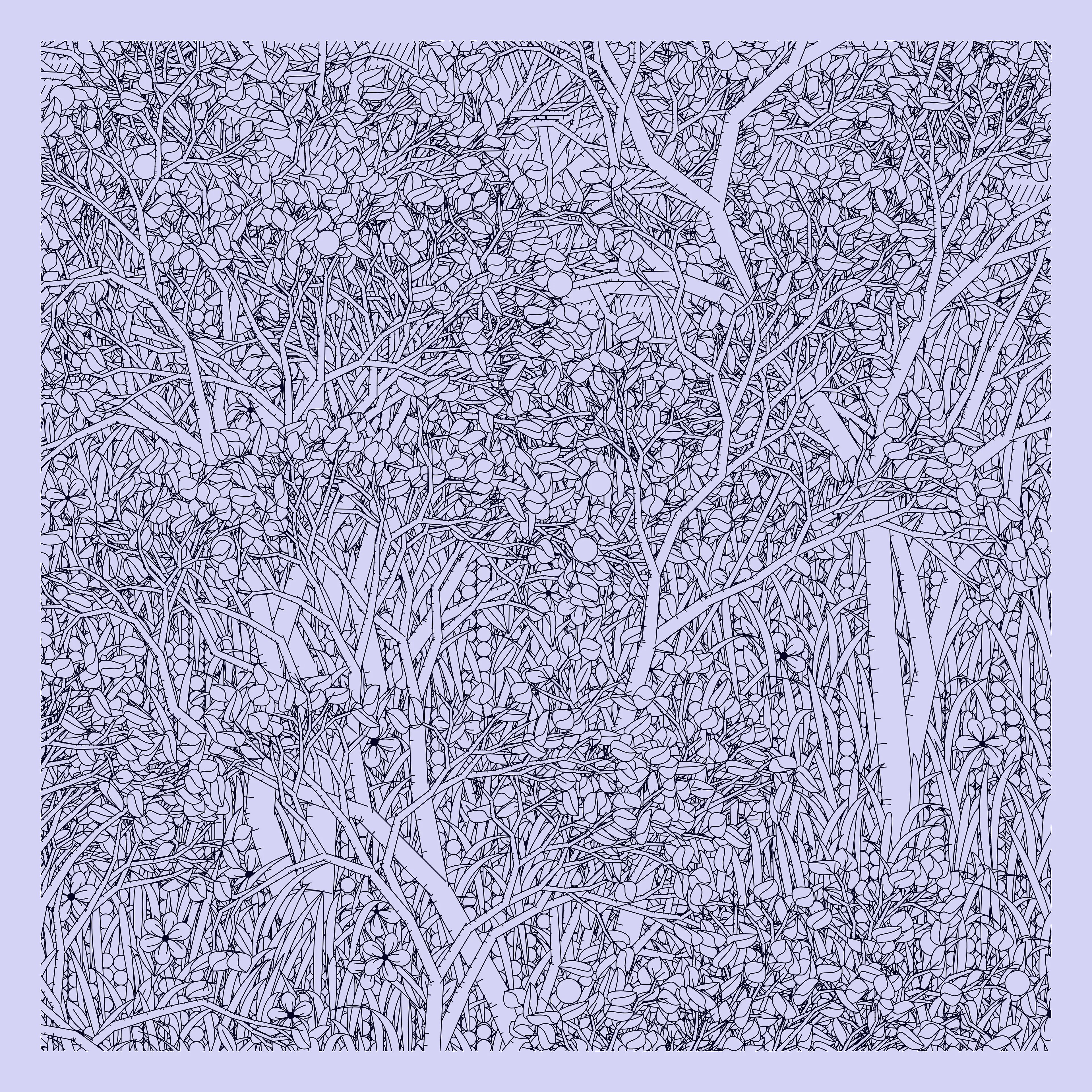 Entangled is a generative scene made up of geometric shapes and various natural fauna. Combining basic geometry and organic shapes creates a unique composition which both provides a naturalistic scene, along with the recognizable features of generative art.