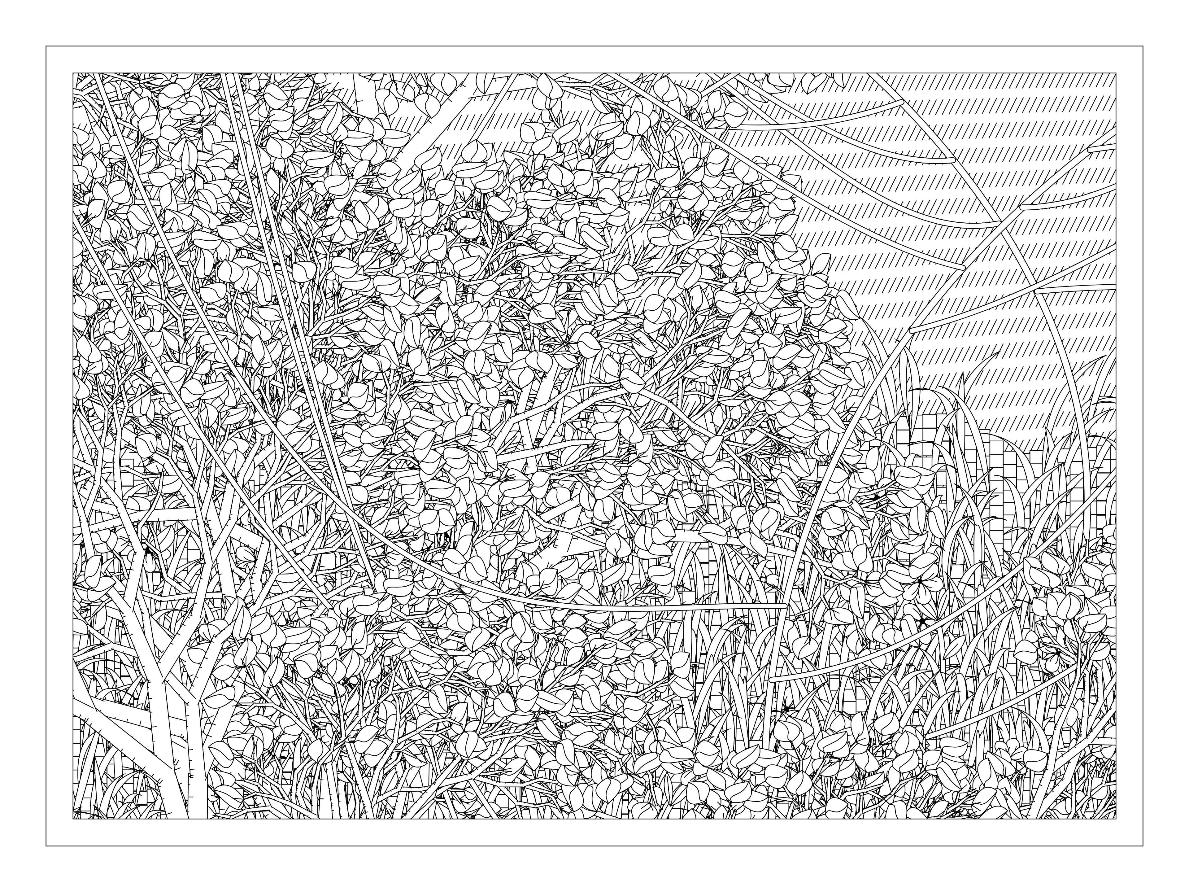 Entangled is a generative scene made up of geometric shapes and various natural fauna. Combining basic geometry and organic shapes creates a unique composition which both provides a naturalistic scene, along with the recognizable features of generative art.