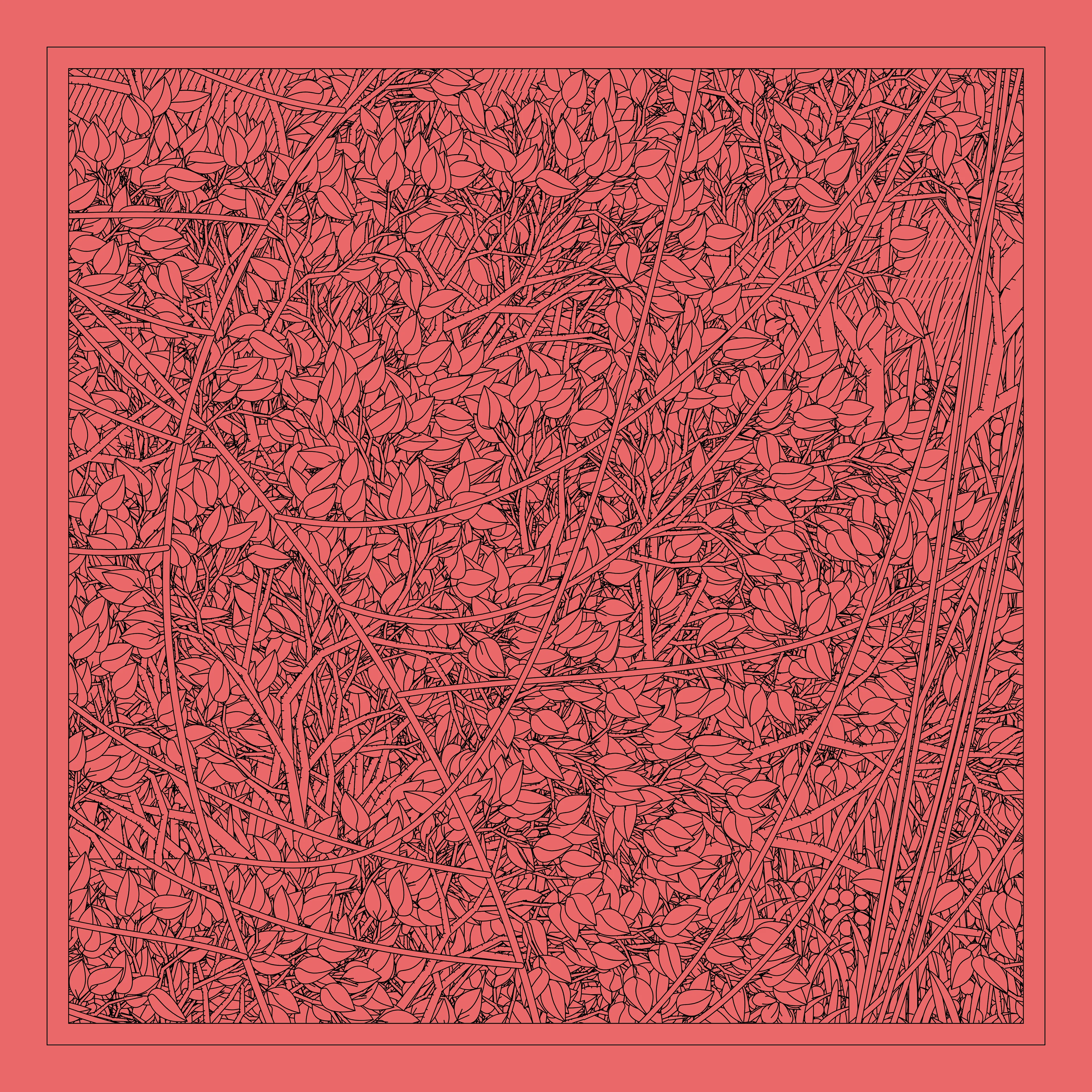 Entangled is a generative scene made up of geometric shapes and various natural fauna. Combining basic geometry and organic shapes creates a unique composition which both provides a naturalistic scene, along with the recognizable features of generative art.