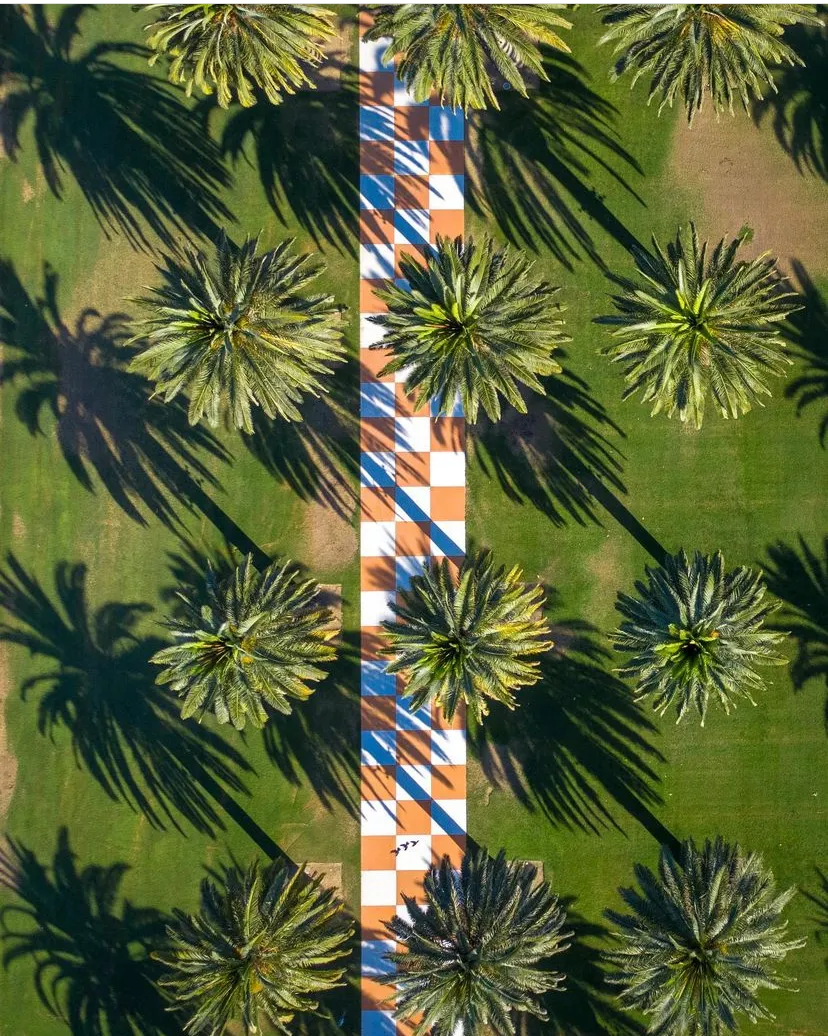 The Palm Grid is a treat for the eyes. The perfect patterns and carefully executed shot to capture the shadows in the space between the trees.