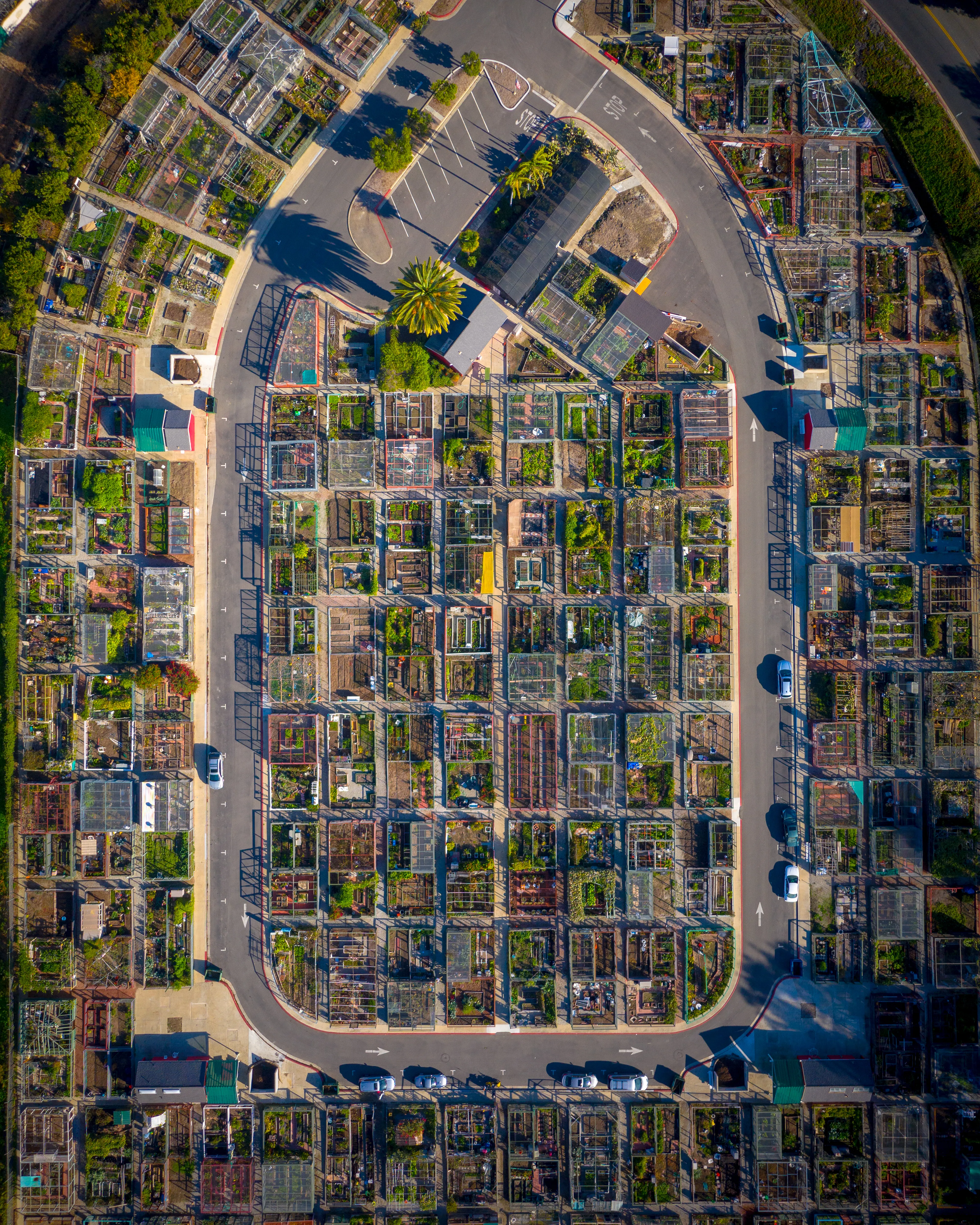 Garden Blocks is a community garden and is very important to me - I captured this spot and won an international photography competition with it!