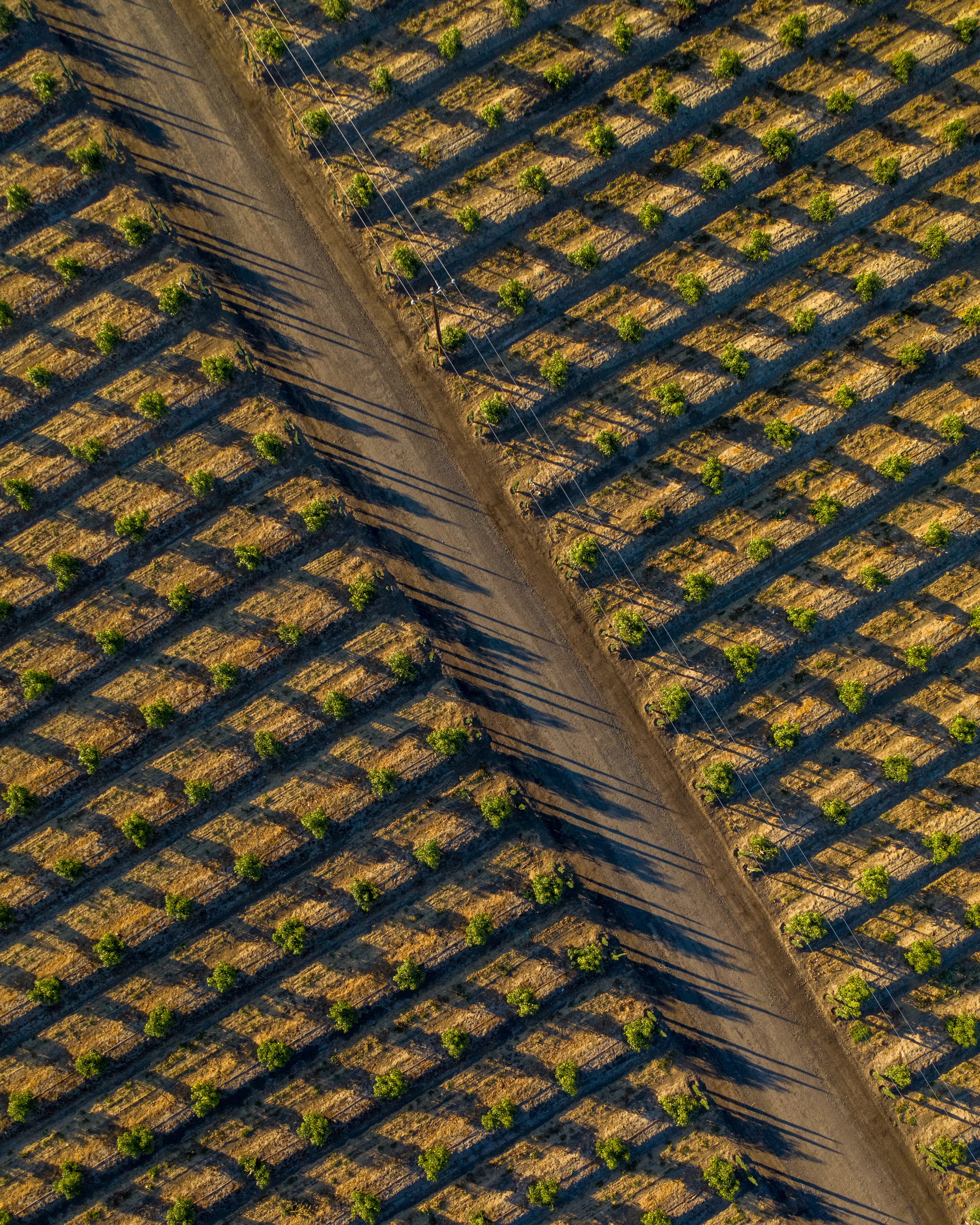 The geometric patterns of Angled Field can only be truly appreciated from this aerial perspective.