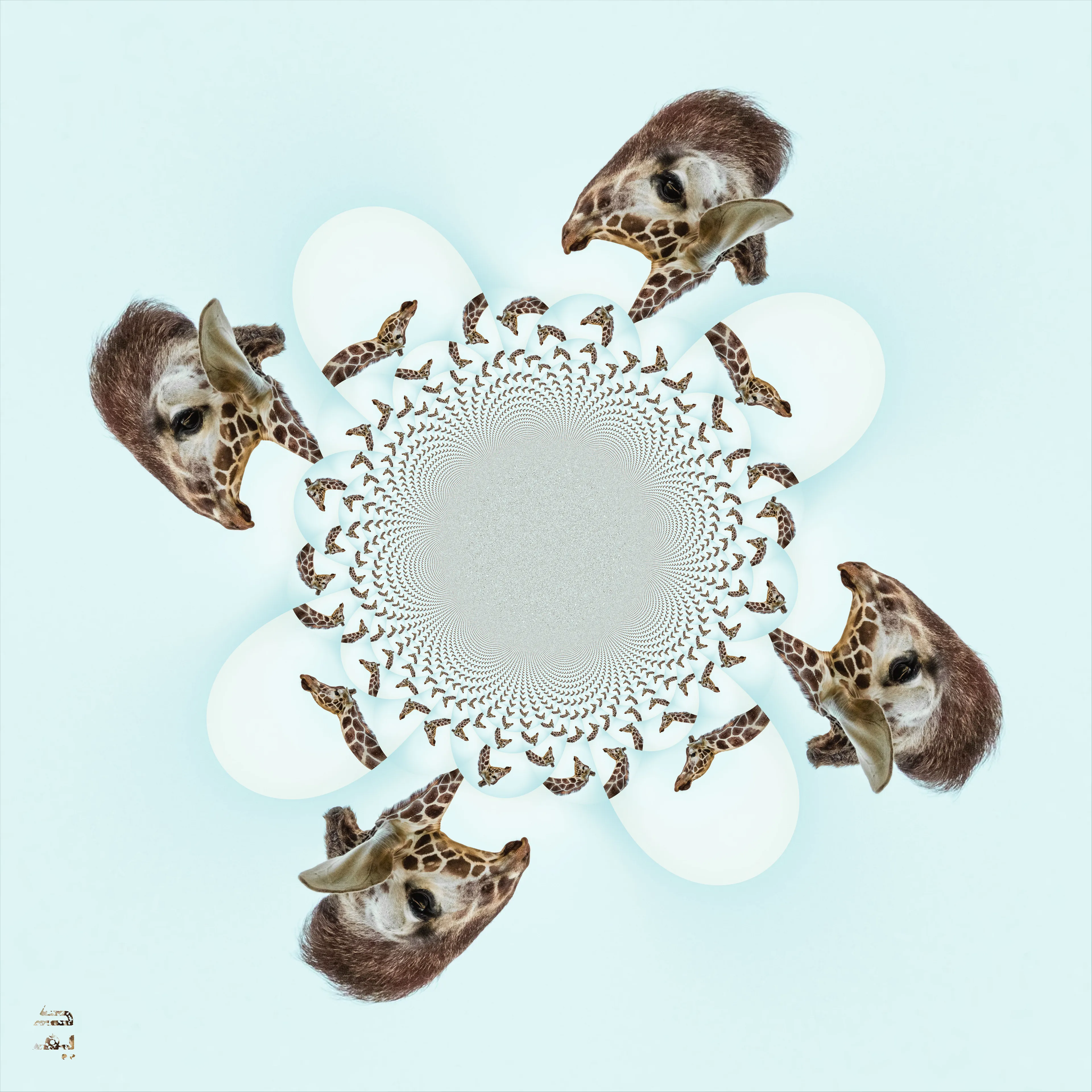 Oppressive beauty standards surround and bombard us from every direction. In this limited edition cryptoart, the toxic received wisdom of conventional beauty is eschewed, and the beauty of divergence from the norm reigns above the swarm of the unremarkable; letting your very own eyes prove that even among that most elegant and majestic of mammals, the giraffe, different is still beautiful.

This apeirographic digital original of an exotic biomorph gives style and substance to the timeless mathematical entity through the textural use of a graceful CC0 licensed photograph by Paweł Czerwiński.