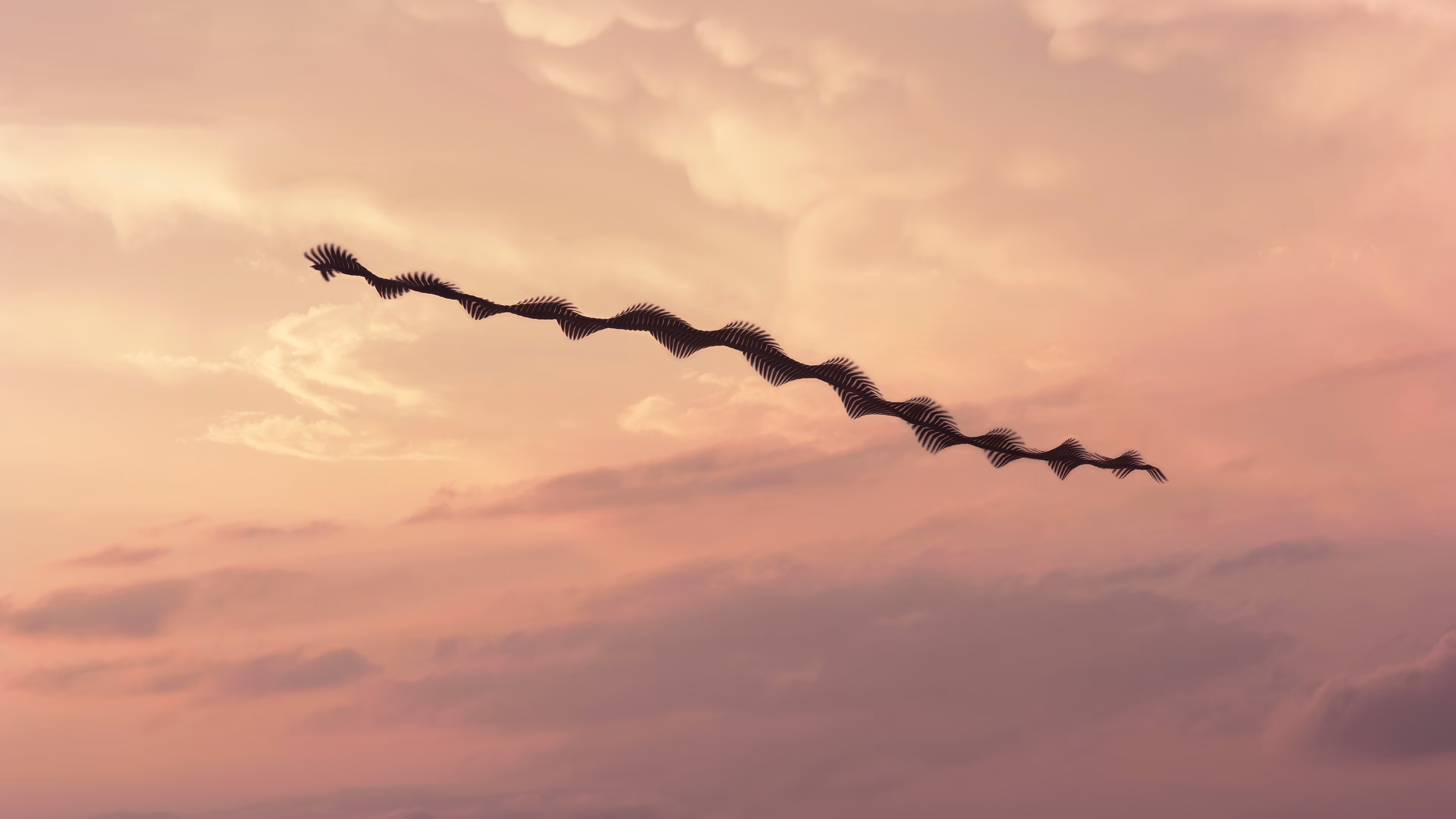 Ornithographies arises from the concern for capturing those unnoticed moments and from the interest in questioning the limits of human perception.

This project focuses on birds, my great passion, in order to capture in a single time frame, the shapes they generate when flying, making visible the invisible.

Ornitographies is a balance between art and science; a nature-based dissemination project and a visual poetry exercise but above all, an invitation to perceive the world with the same curious and innocent look of the child we once were.

Edition: 1 of 1