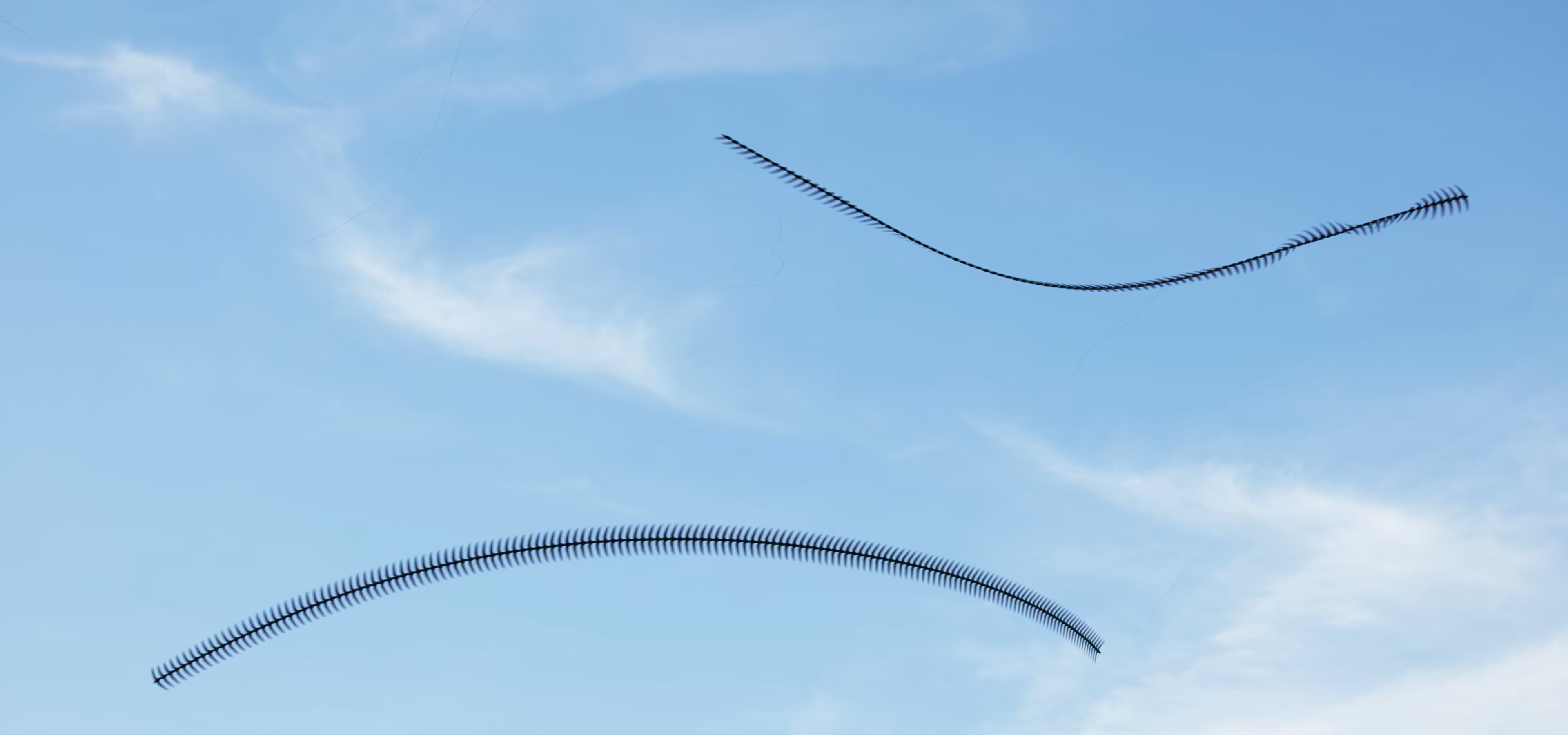 Ornithographies arises from the concern for capturing those unnoticed moments and from the interest in questioning the limits of human perception.

This project focuses on birds, my great passion, in order to capture in a single time frame, the shapes they generate when flying, making visible the invisible.

Ornitographies is a balance between art and science; a nature-based dissemination project and a visual poetry exercise but above all, an invitation to perceive the world with the same curious and innocent look of the child we once were.

Edition: 1 of 1