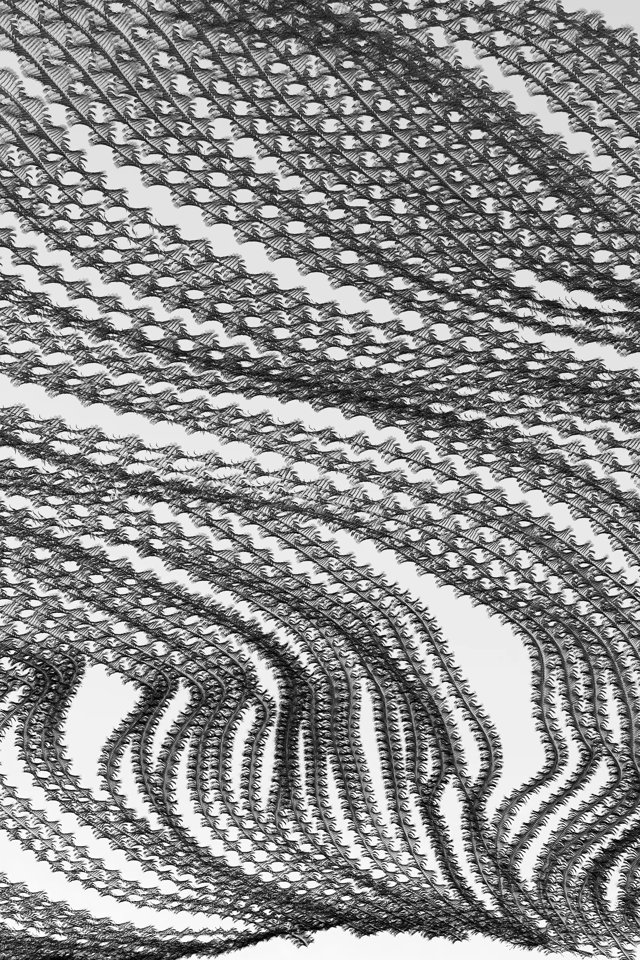 Ornithographies arises from the concern for capturing those unnoticed moments and from the interest in questioning the limits of human perception.

This project focuses on birds, my great passion, in order to capture in a single time frame, the shapes they generate when flying, making visible the invisible.

Ornitographies is a balance between art and science; a nature-based dissemination project and a visual poetry exercise but above all, an invitation to perceive the world with the same curious and innocent look of the child we once were.

Edition: 1 of 1