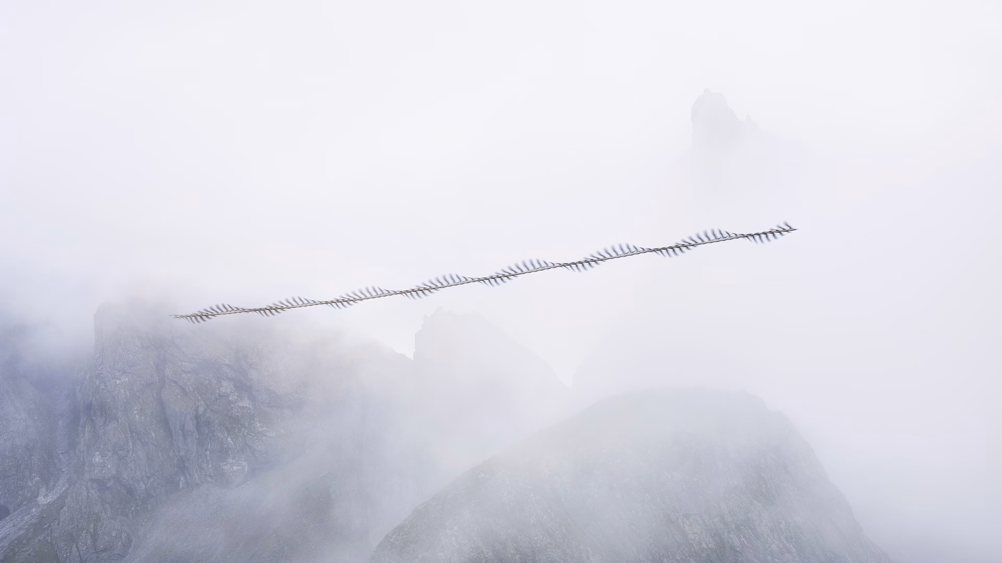 Ornithographies arises from the concern for capturing those unnoticed moments and from the interest in questioning the limits of human perception.

This project focuses on birds, my great passion, in order to capture in a single time frame, the shapes they generate when flying, making visible the invisible.

Ornitographies is a balance between art and science; a nature-based dissemination project and a visual poetry exercise but above all, an invitation to perceive the world with the same curious and innocent look of the child we once were.

Edition: 1 of 1