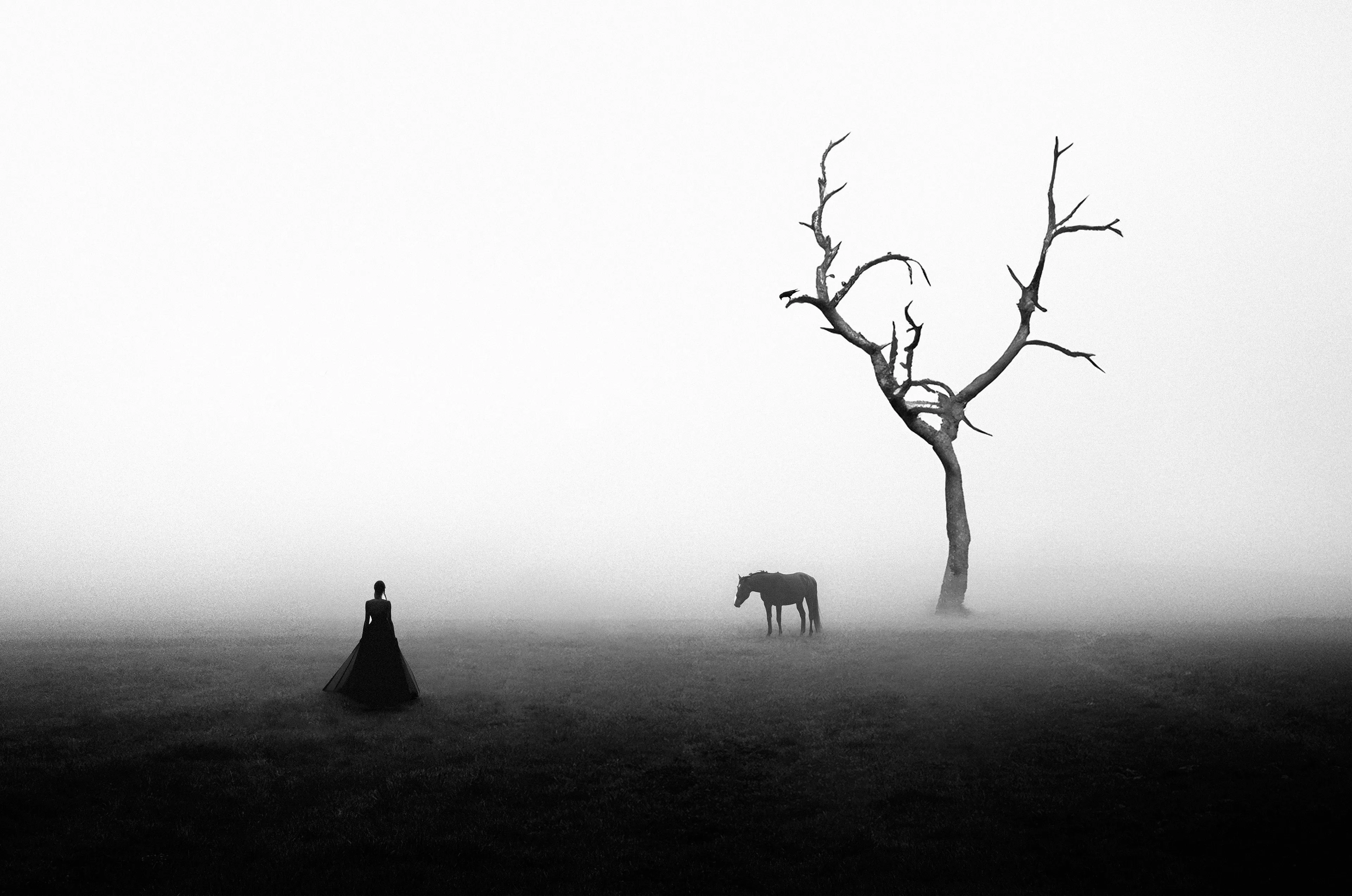 We are afraid of emptiness.
Because emptiness is a difficult thing to deal with. Emptiness is undefined and extremely frightening. But emptiness is something that should be in every human being's life. In this way, we fill that emptiness with our own choices and our life gains meaning.
4750X3150 Pixel
Based Photo; My Photograph
Photography, photoshop editing  and manipulation. 