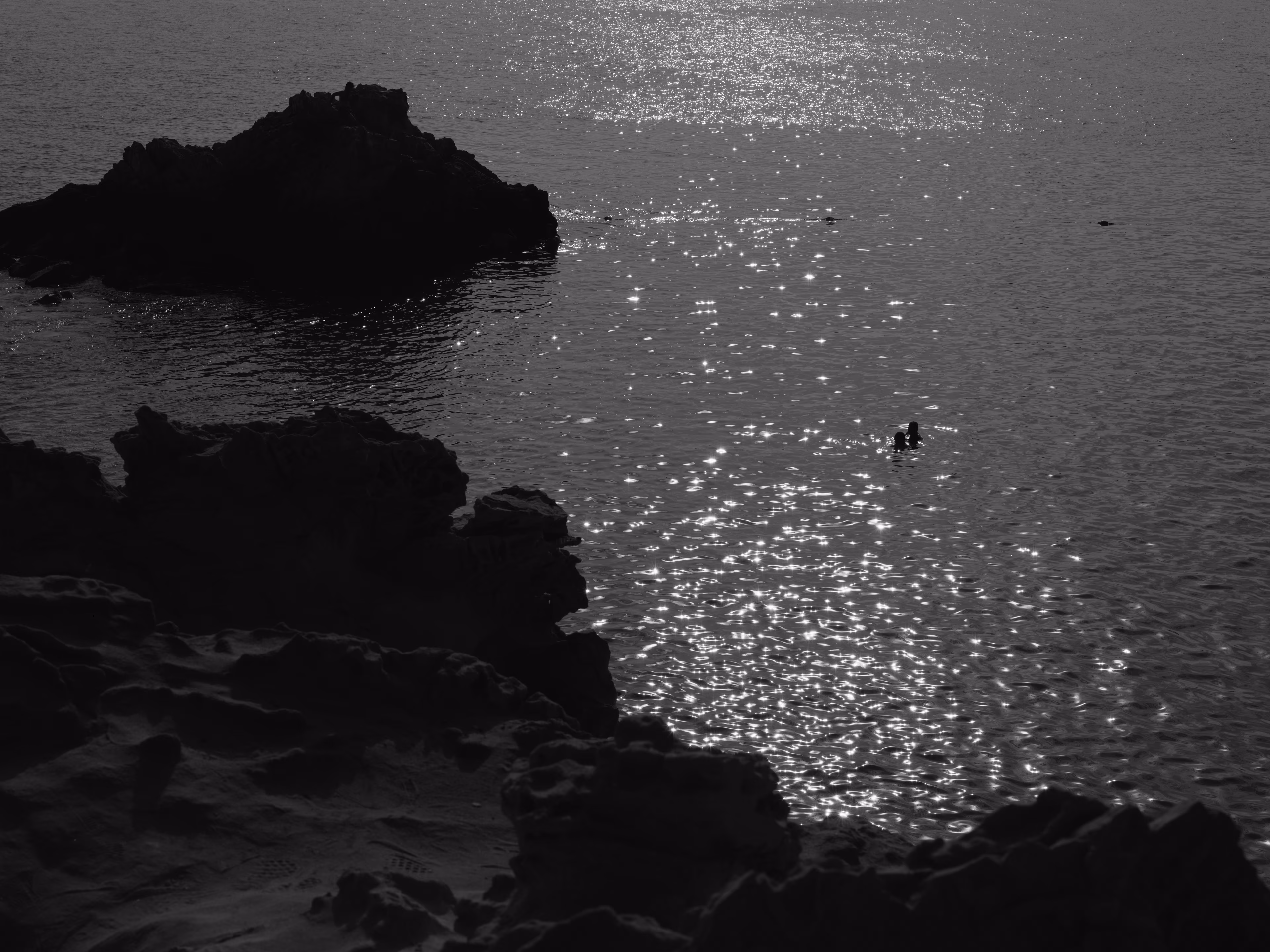 Copyright © 2022 Jessica Cardelucci