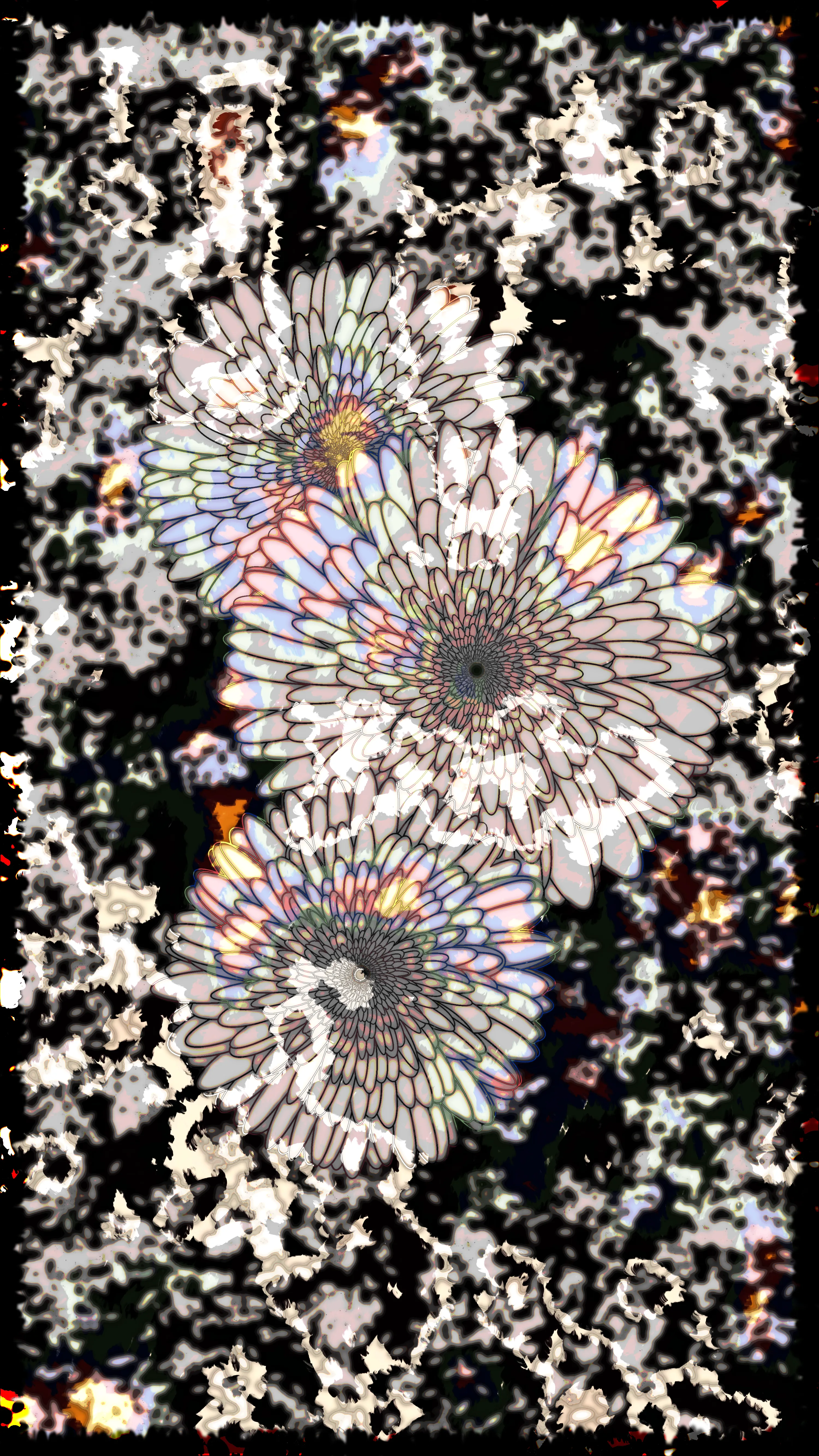 Flowers of Alfiren is a set of 86 surreal gardenscape drawings created by Andrew Mitchell via a generative algorithm written in javascript utilizing the p5js library. No two Flowers of Alfiren will ever be alike. This collection was created in conjunction with the gallery Vertu Fine Art. 

The codebase for this collection is stored on-chain on a separate, custom Ethereum smart contract. The url for that contract is here: https://etherscan.io/address/0x9489bdad5e36d16051c93ab2200172083eeba057#readContract#F5. This contract is indexed via a Flowers of Alfiren manifold contract I have deployed here: https://etherscan.io/address/0x8e85815d9c6360e414f93483a3533d8172dcec27. In addition, the codebase is stored as a server-less webpage with Arweave here: dyjruf4fas2rbuugppjqpdqohzh6gj5cekieyujhvlqkpkcazaeq.arweave.net/HhMaF4UEtRDShnvTB44OPk_jJ6IikExRJ6rgp6hAyAk.