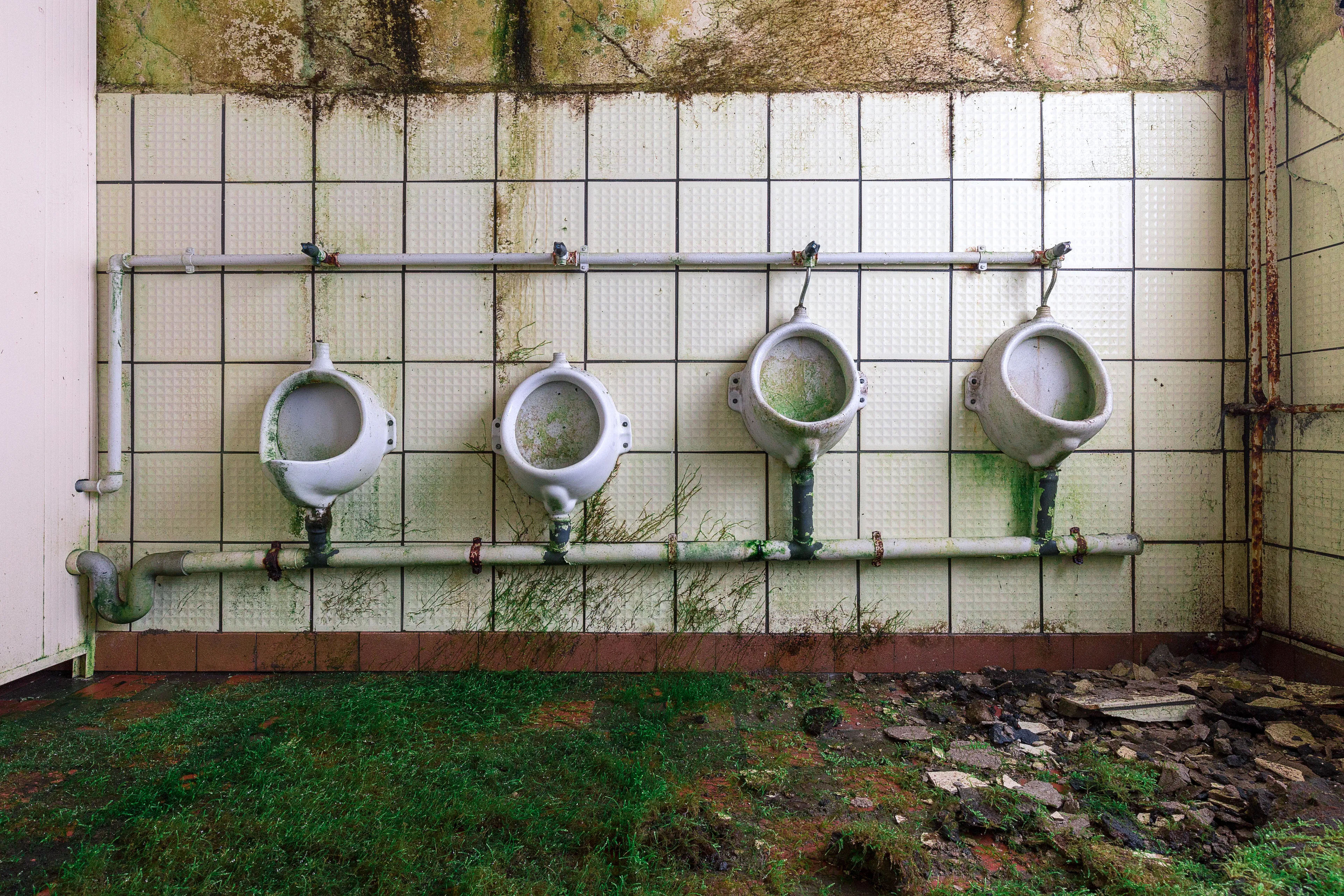Photographing an abandoned toilet may sound repugnant to many. But I see symmetries, lines, shapes and decay.  
Art can take place anywhere and, after all, toilets are places that create relief for us.